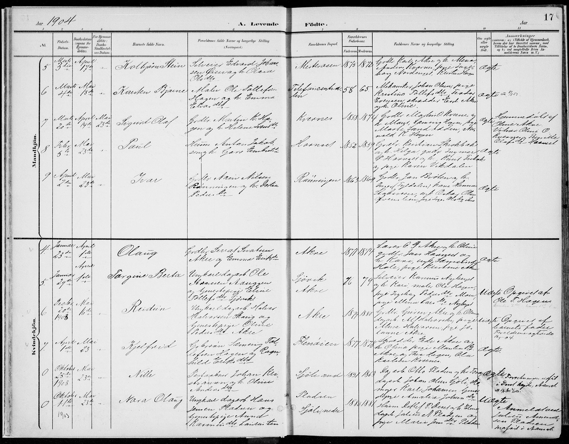 Rendalen prestekontor, SAH/PREST-054/H/Ha/Haa/L0011: Parish register (official) no. 11, 1901-1925, p. 17