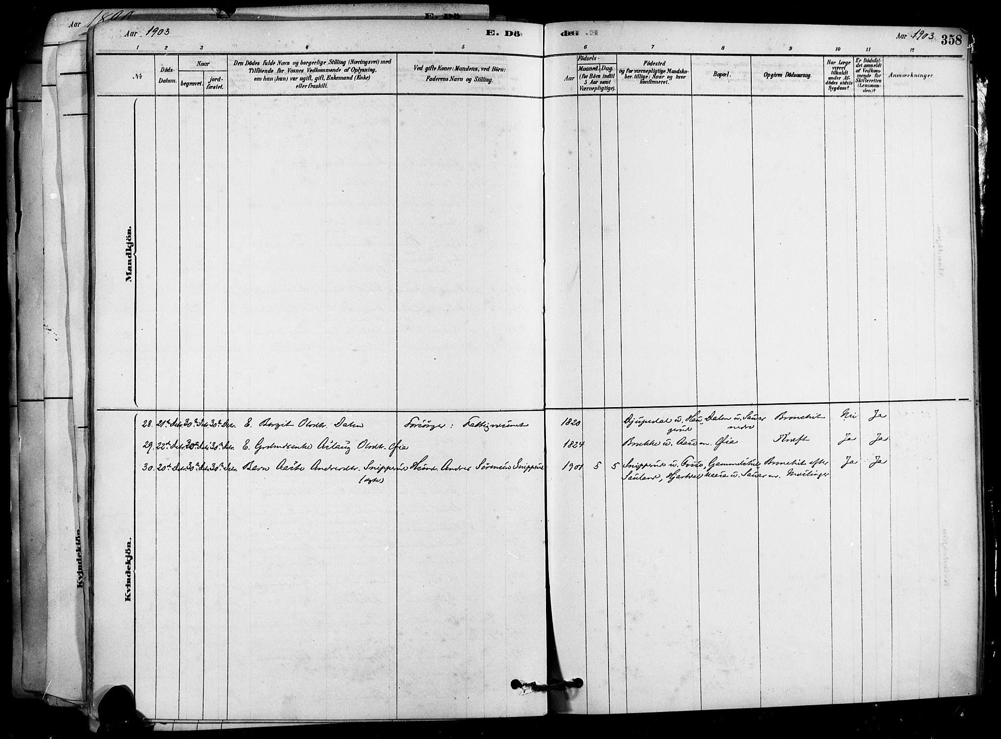 Heddal kirkebøker, AV/SAKO-A-268/F/Fa/L0008: Parish register (official) no. I 8, 1878-1903, p. 358