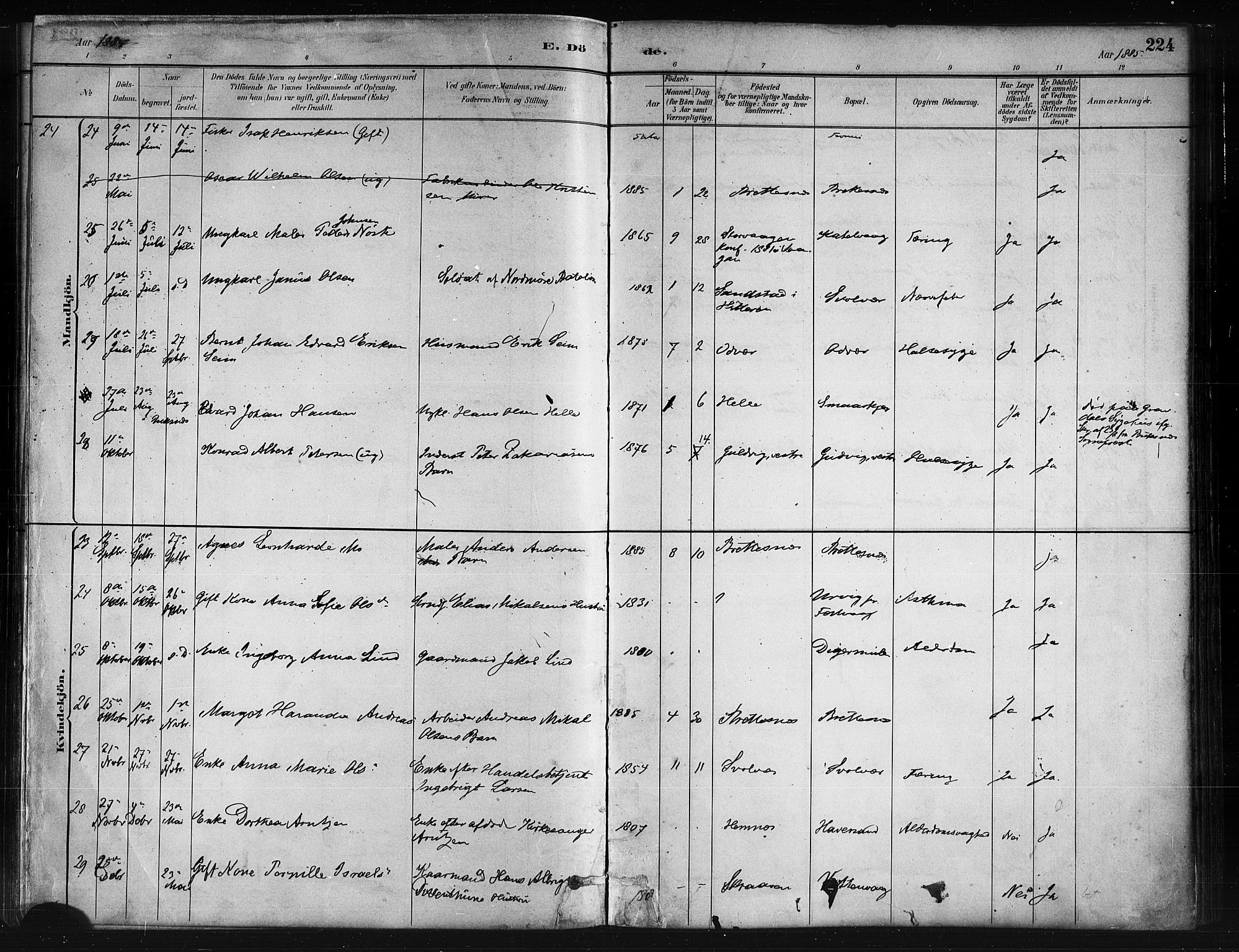 Ministerialprotokoller, klokkerbøker og fødselsregistre - Nordland, AV/SAT-A-1459/874/L1059: Parish register (official) no. 874A03, 1884-1890, p. 224