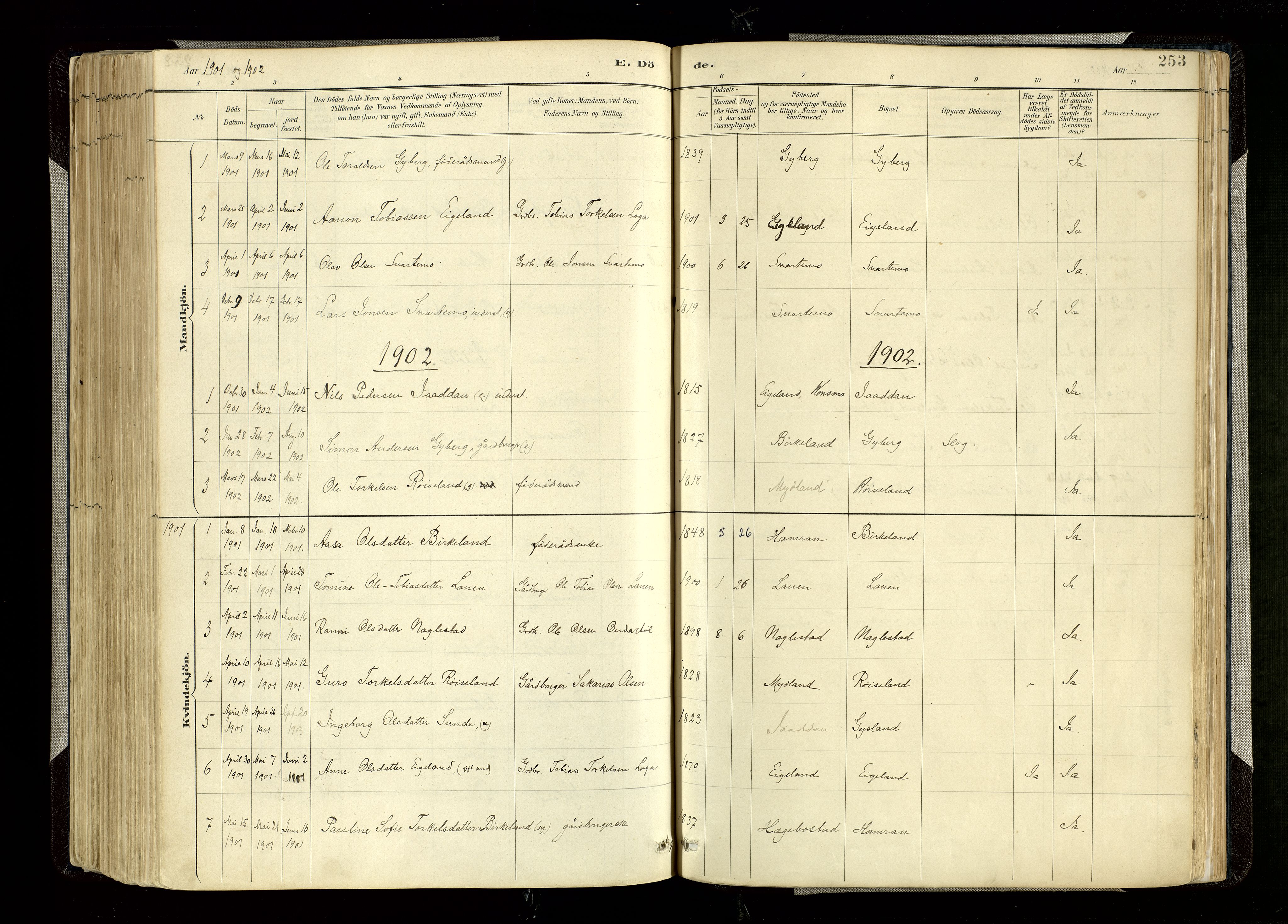 Hægebostad sokneprestkontor, SAK/1111-0024/F/Fa/Faa/L0006: Parish register (official) no. A 6, 1887-1929, p. 253