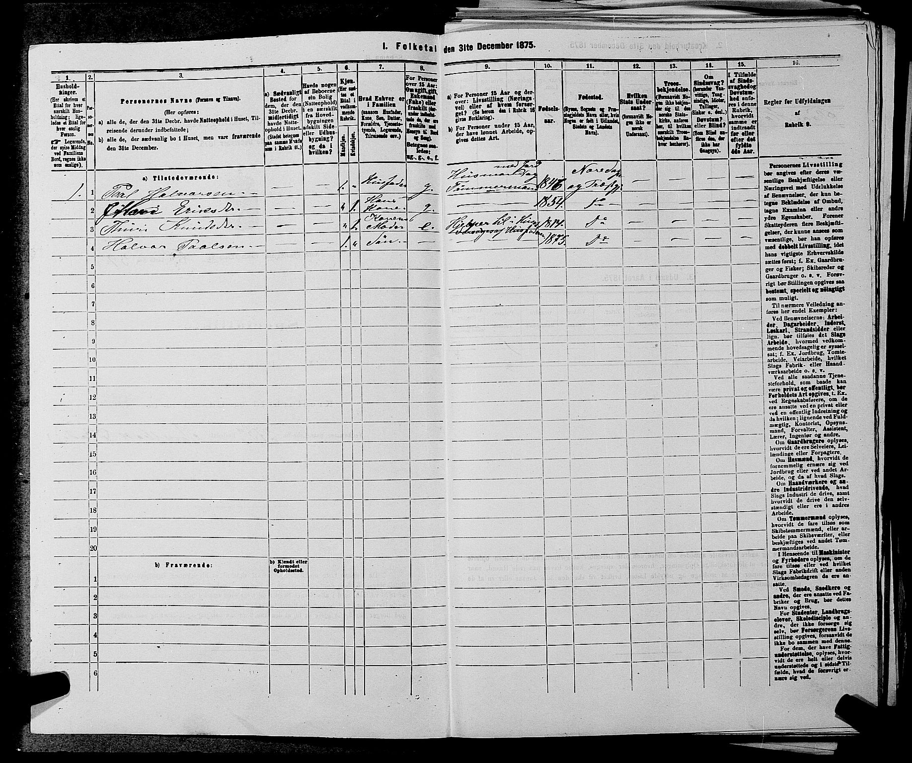 SAKO, 1875 census for 0633P Nore, 1875, p. 992