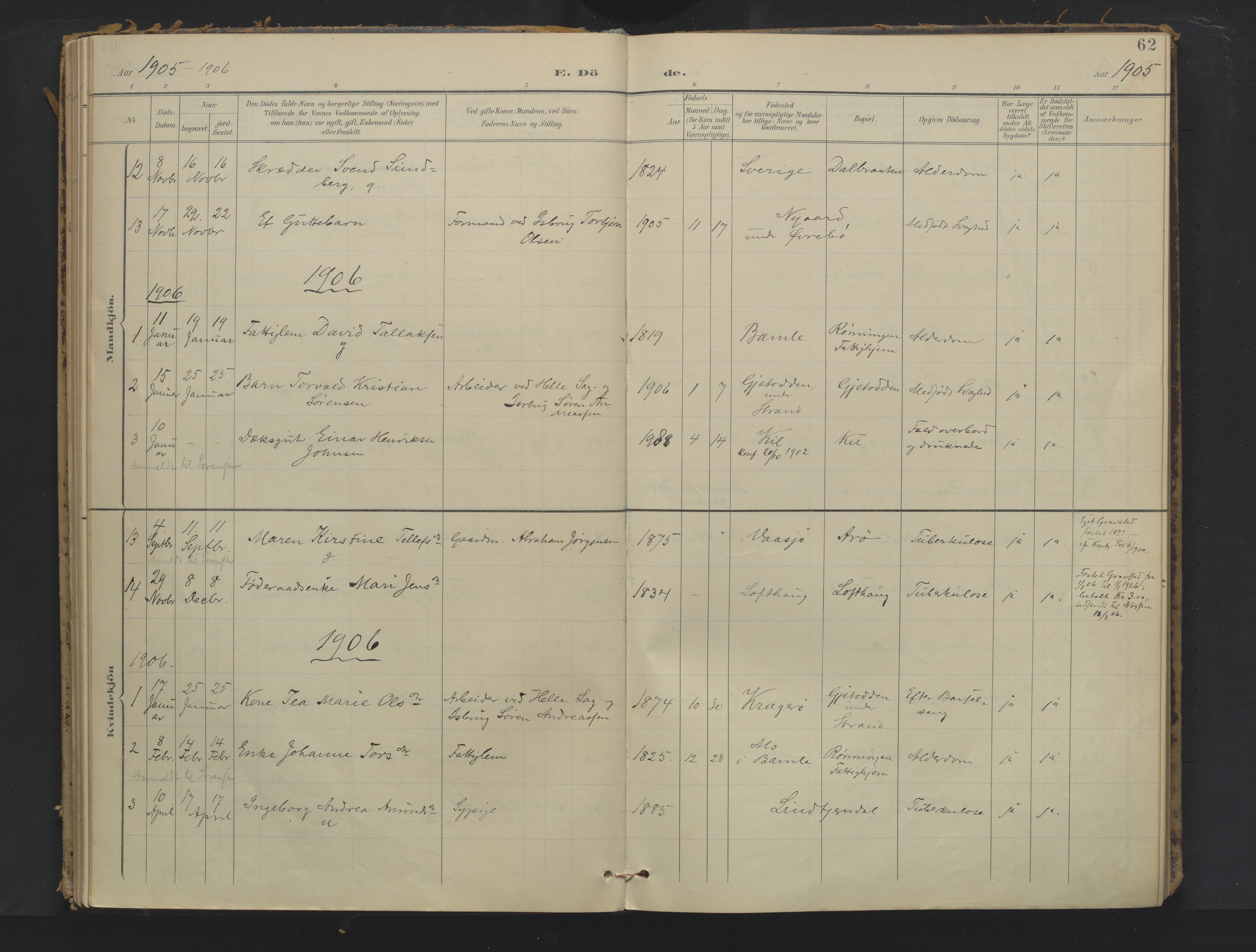 Sannidal kirkebøker, AV/SAKO-A-296/F/Fa/L0018: Parish register (official) no. 18, 1900-1918, p. 62