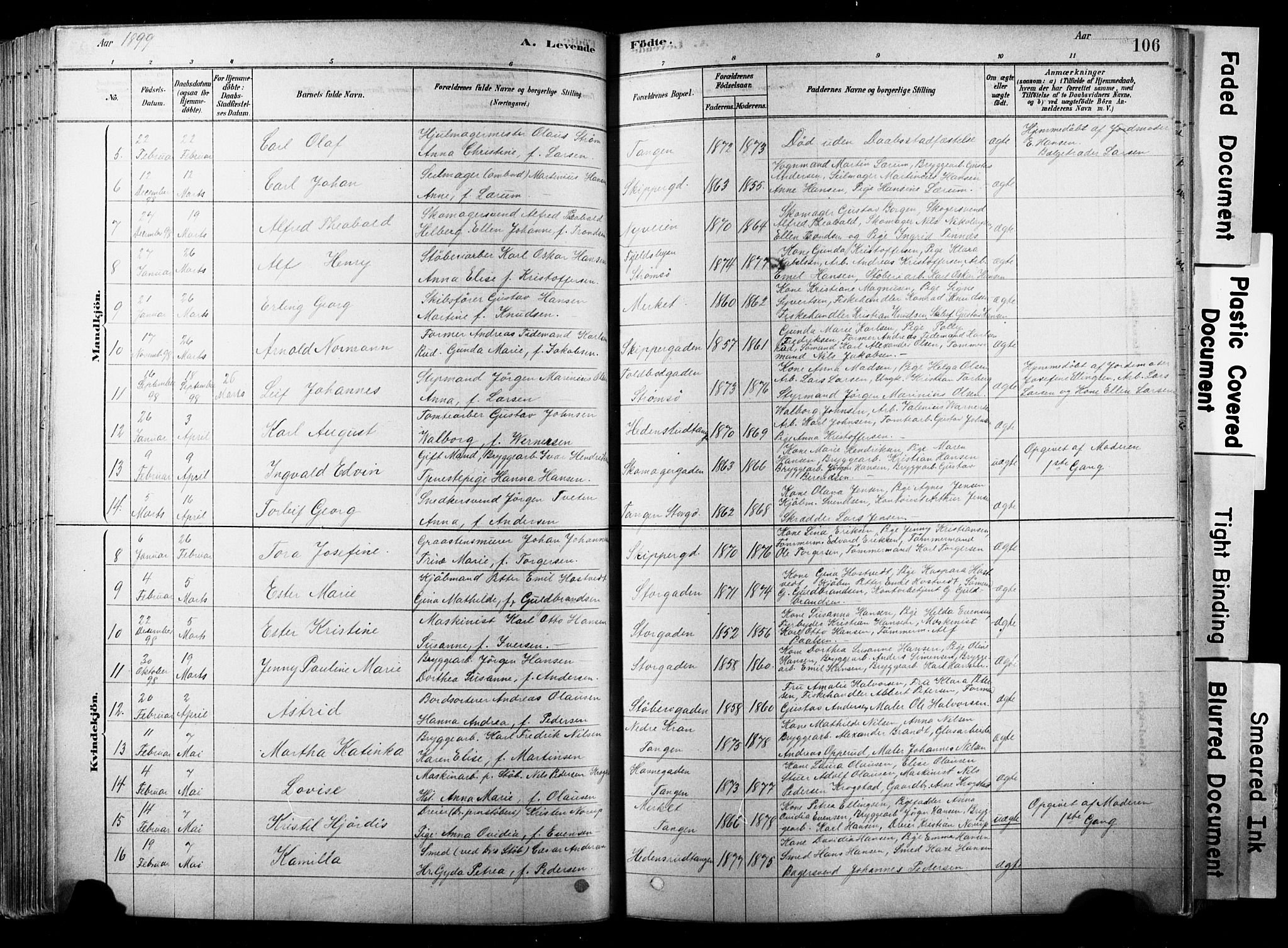 Strømsø kirkebøker, SAKO/A-246/F/Fb/L0006: Parish register (official) no. II 6, 1879-1910, p. 106