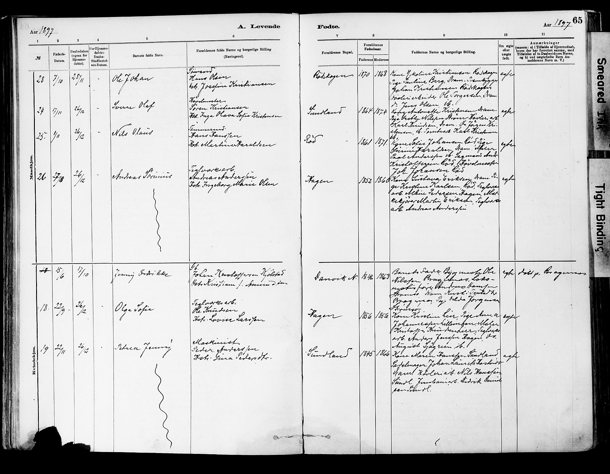 Strømsgodset kirkebøker, AV/SAKO-A-324/F/Fa/L0001: Parish register (official) no. 1, 1885-1909, p. 65