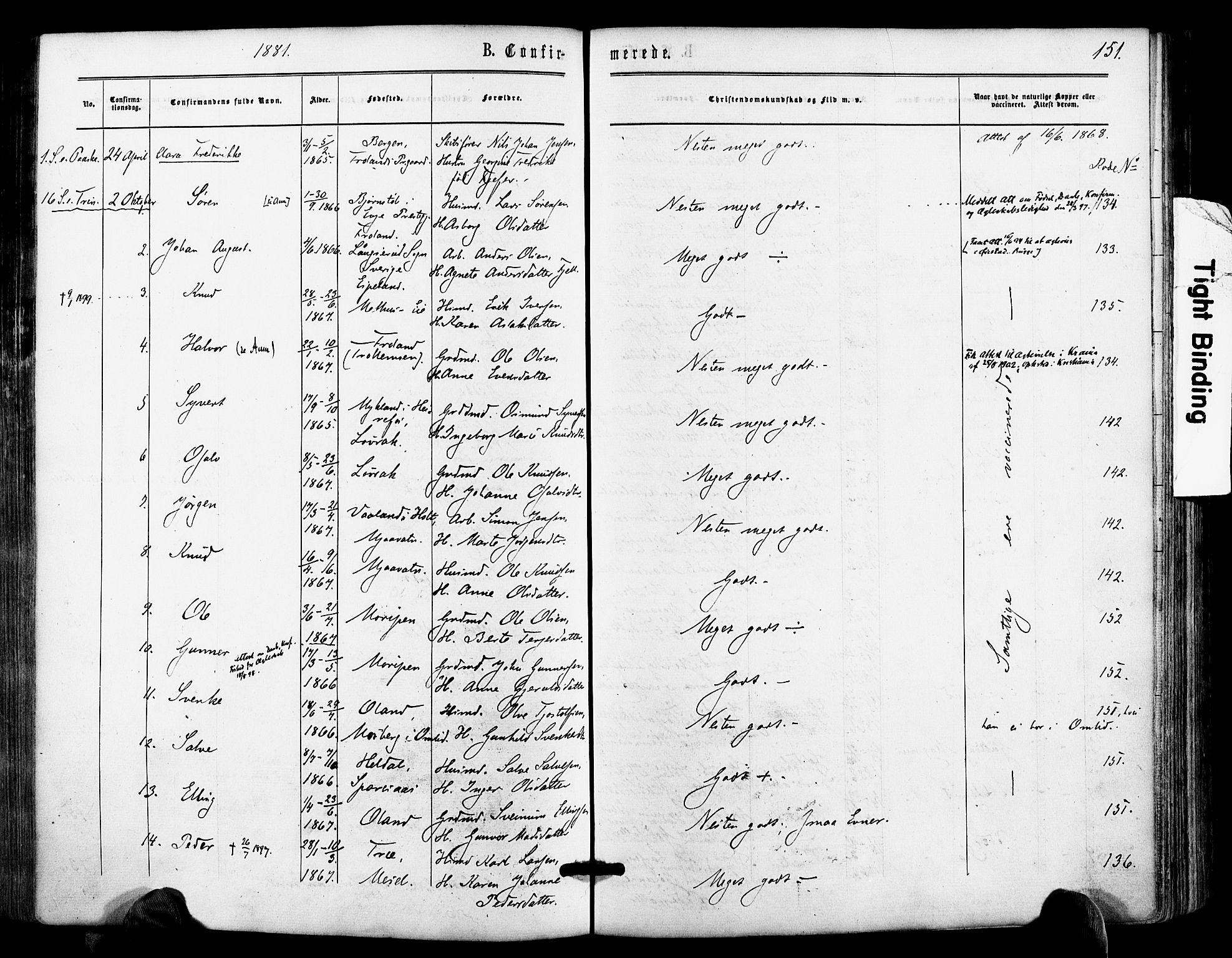 Froland sokneprestkontor, SAK/1111-0013/F/Fa/L0003: Parish register (official) no. A 3, 1864-1881, p. 151