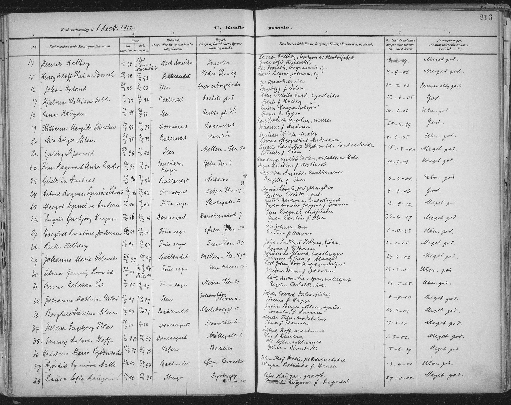 Ministerialprotokoller, klokkerbøker og fødselsregistre - Sør-Trøndelag, AV/SAT-A-1456/603/L0167: Parish register (official) no. 603A06, 1896-1932, p. 216