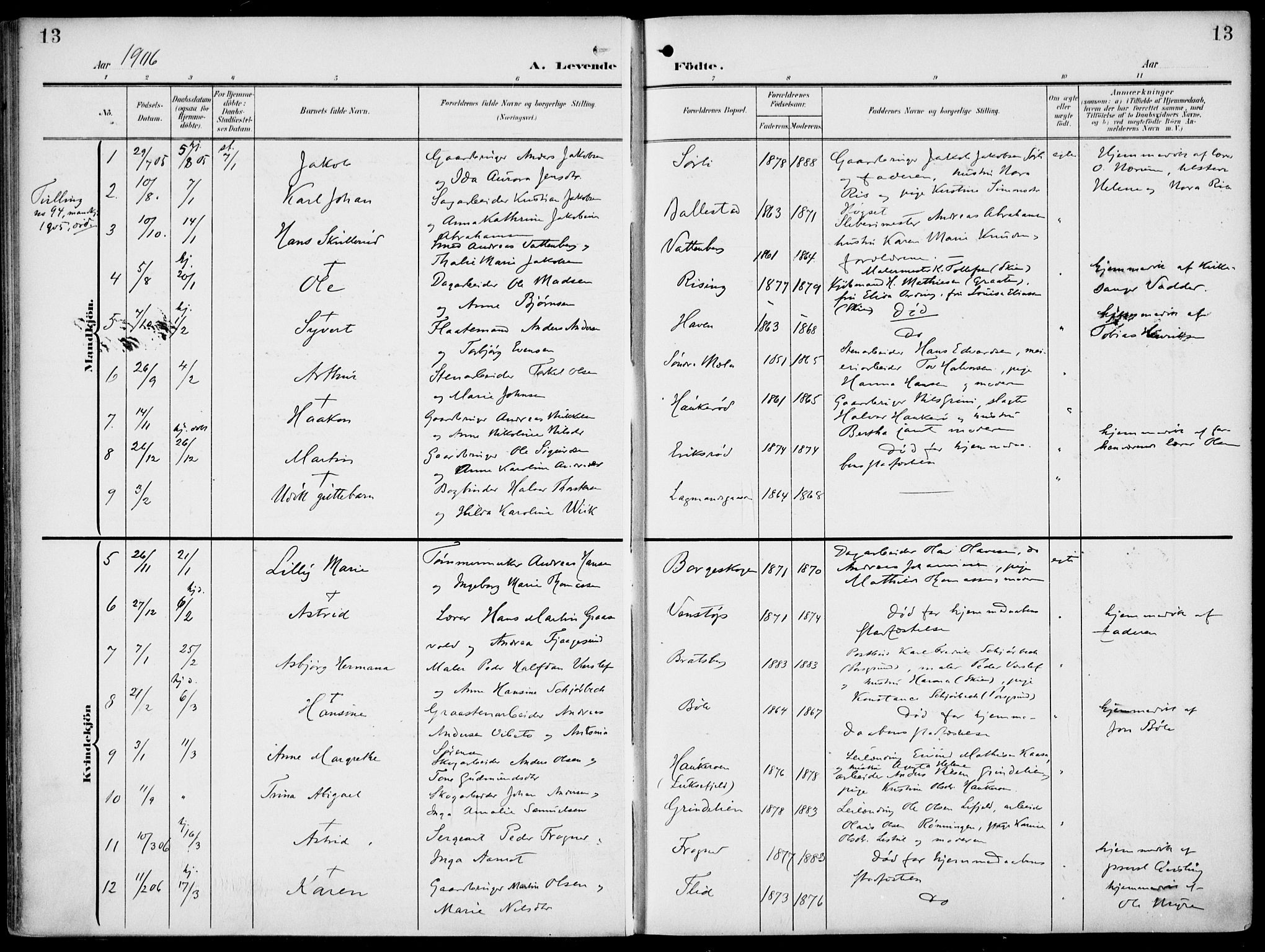 Gjerpen kirkebøker, AV/SAKO-A-265/F/Fa/L0012: Parish register (official) no. I 12, 1905-1913, p. 13