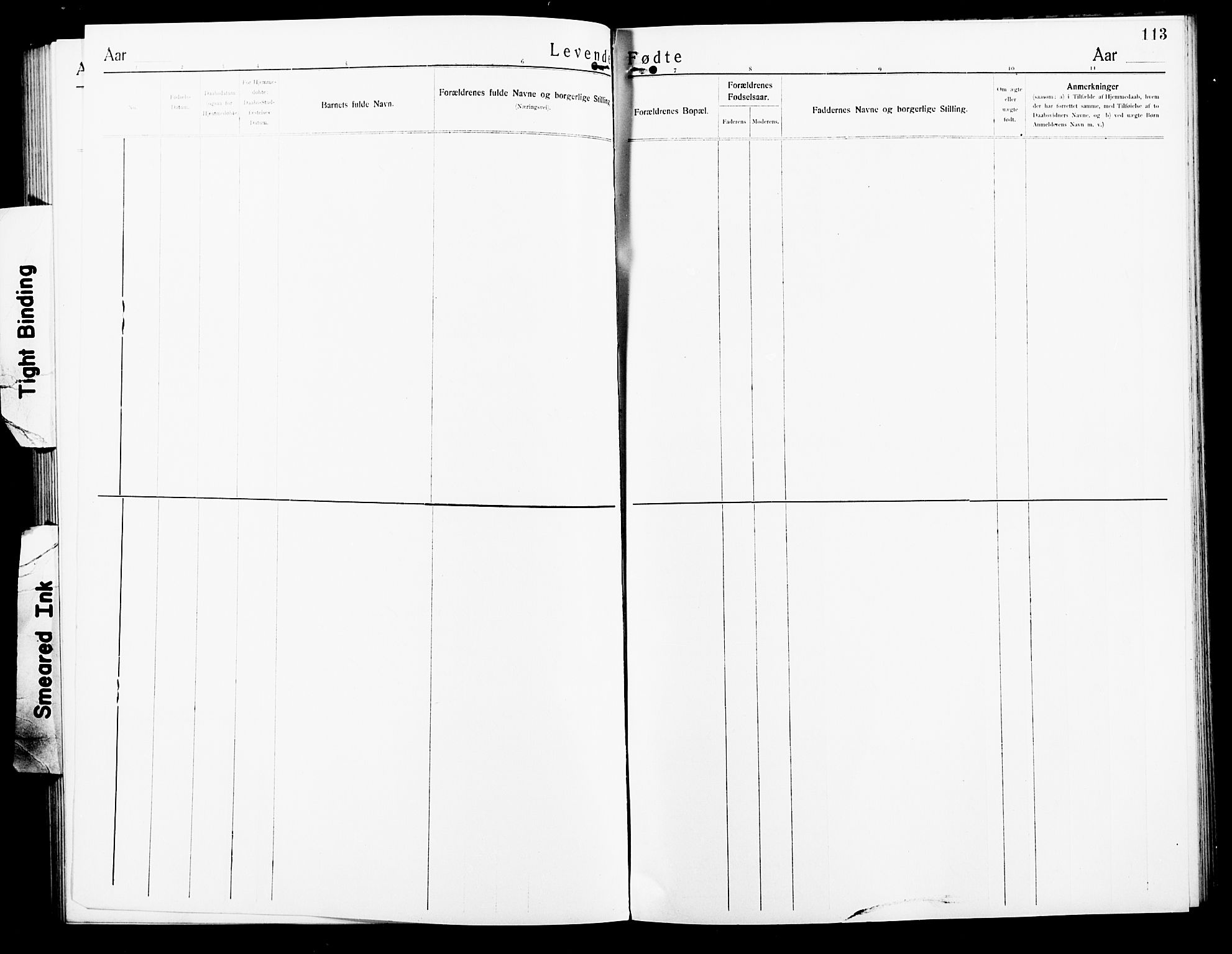 Ministerialprotokoller, klokkerbøker og fødselsregistre - Nordland, AV/SAT-A-1459/801/L0034: Parish register (copy) no. 801C09, 1910-1922, p. 113