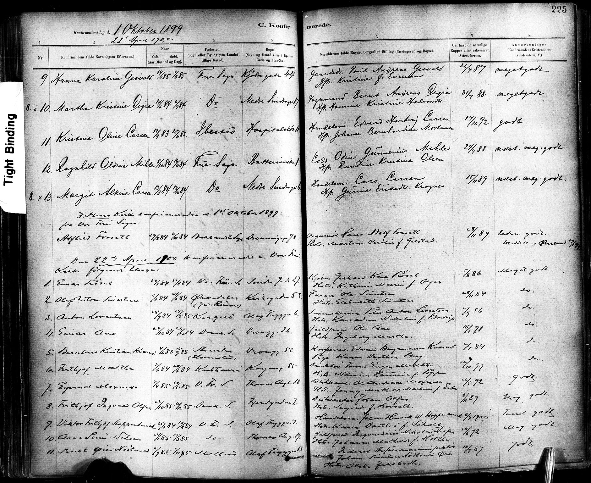 Ministerialprotokoller, klokkerbøker og fødselsregistre - Sør-Trøndelag, SAT/A-1456/602/L0119: Parish register (official) no. 602A17, 1880-1901, p. 225