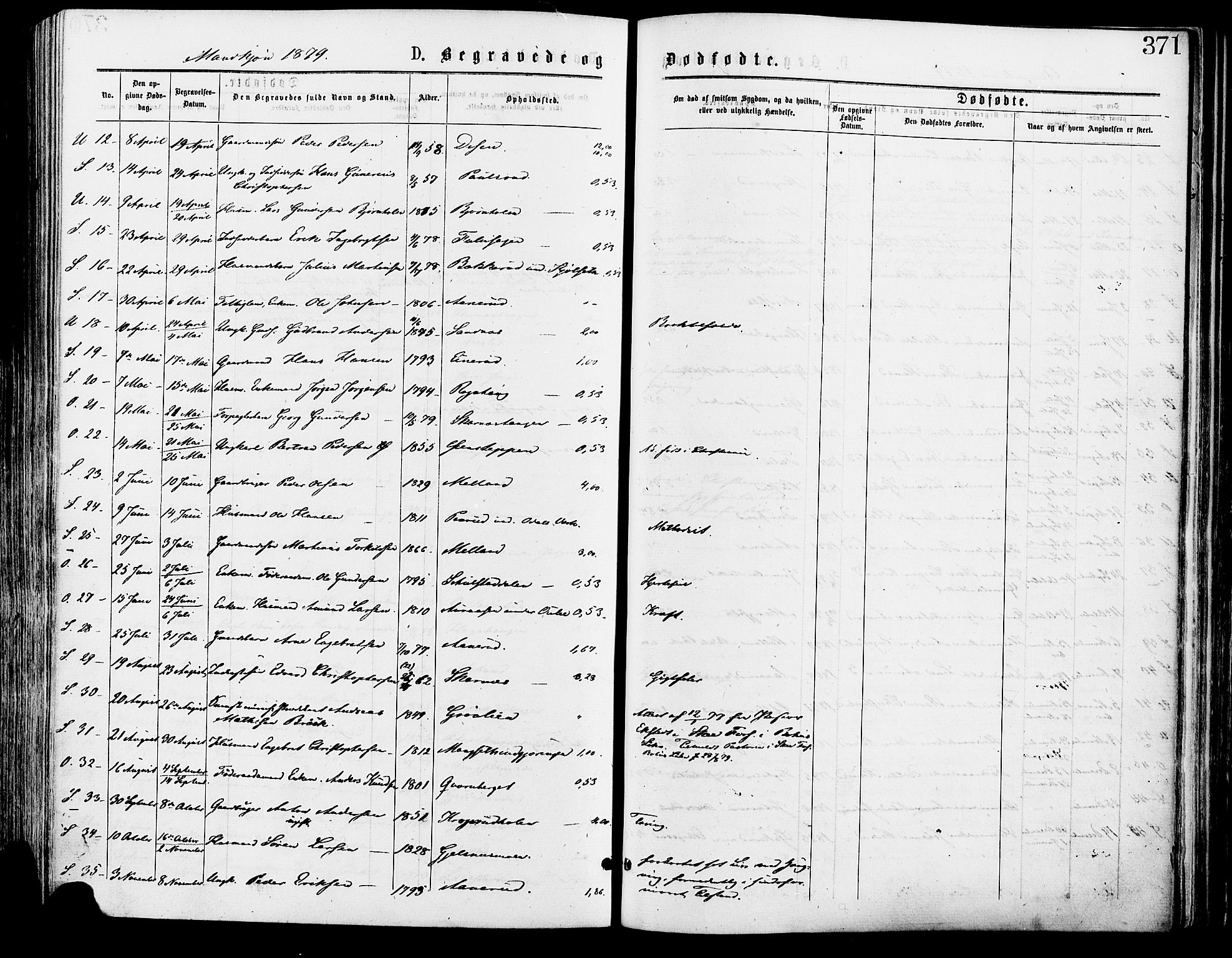 Sør-Odal prestekontor, AV/SAH-PREST-030/H/Ha/Haa/L0005: Parish register (official) no. 5, 1876-1885, p. 371