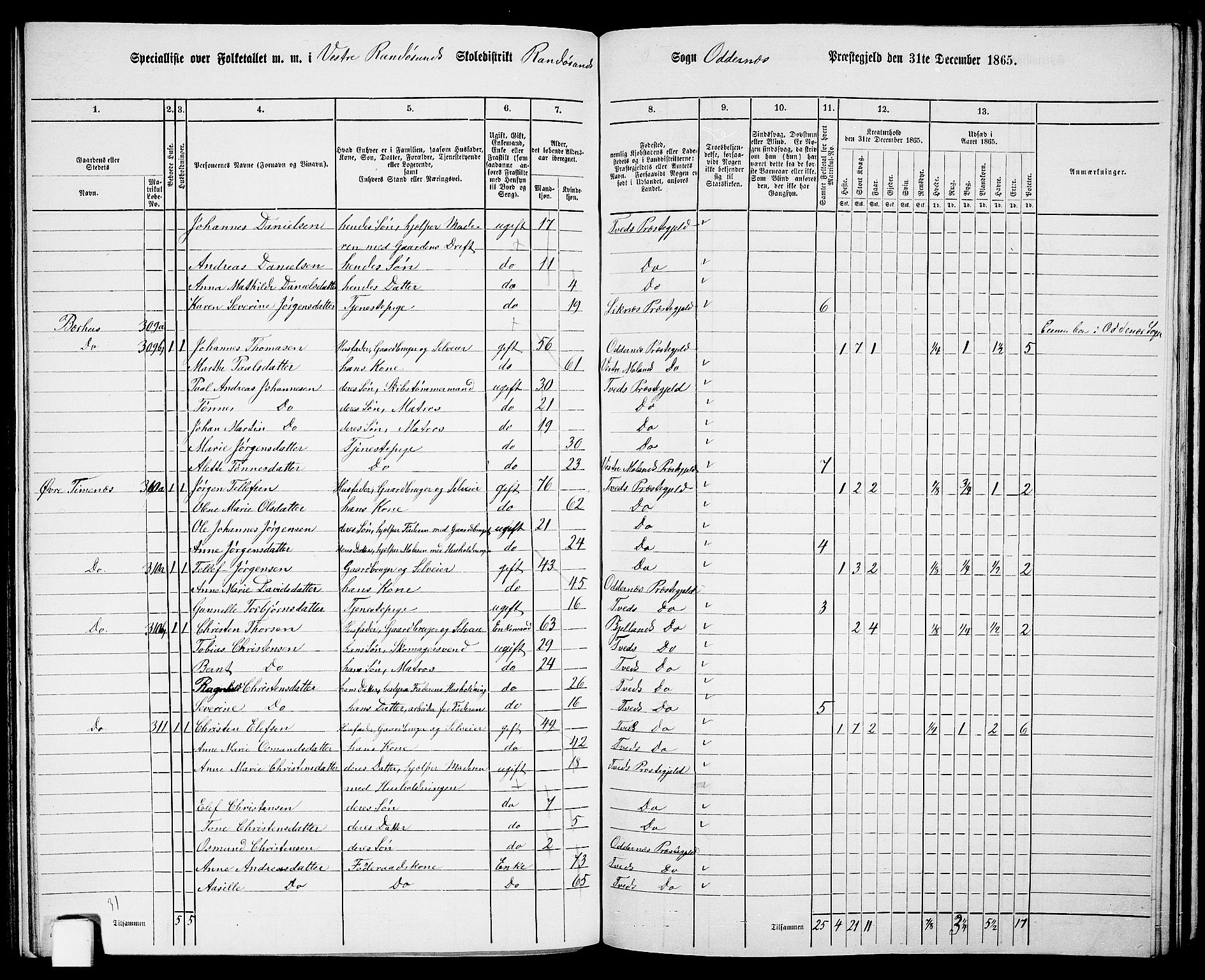 RA, 1865 census for Oddernes, 1865, p. 125