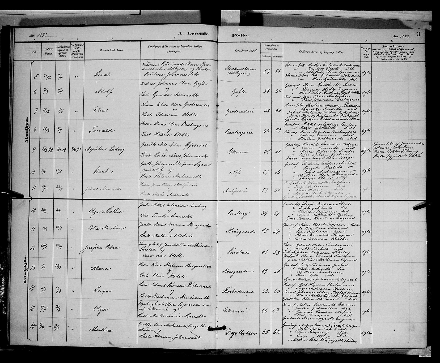 Biri prestekontor, SAH/PREST-096/H/Ha/Hab/L0003: Parish register (copy) no. 3, 1892-1905, p. 3