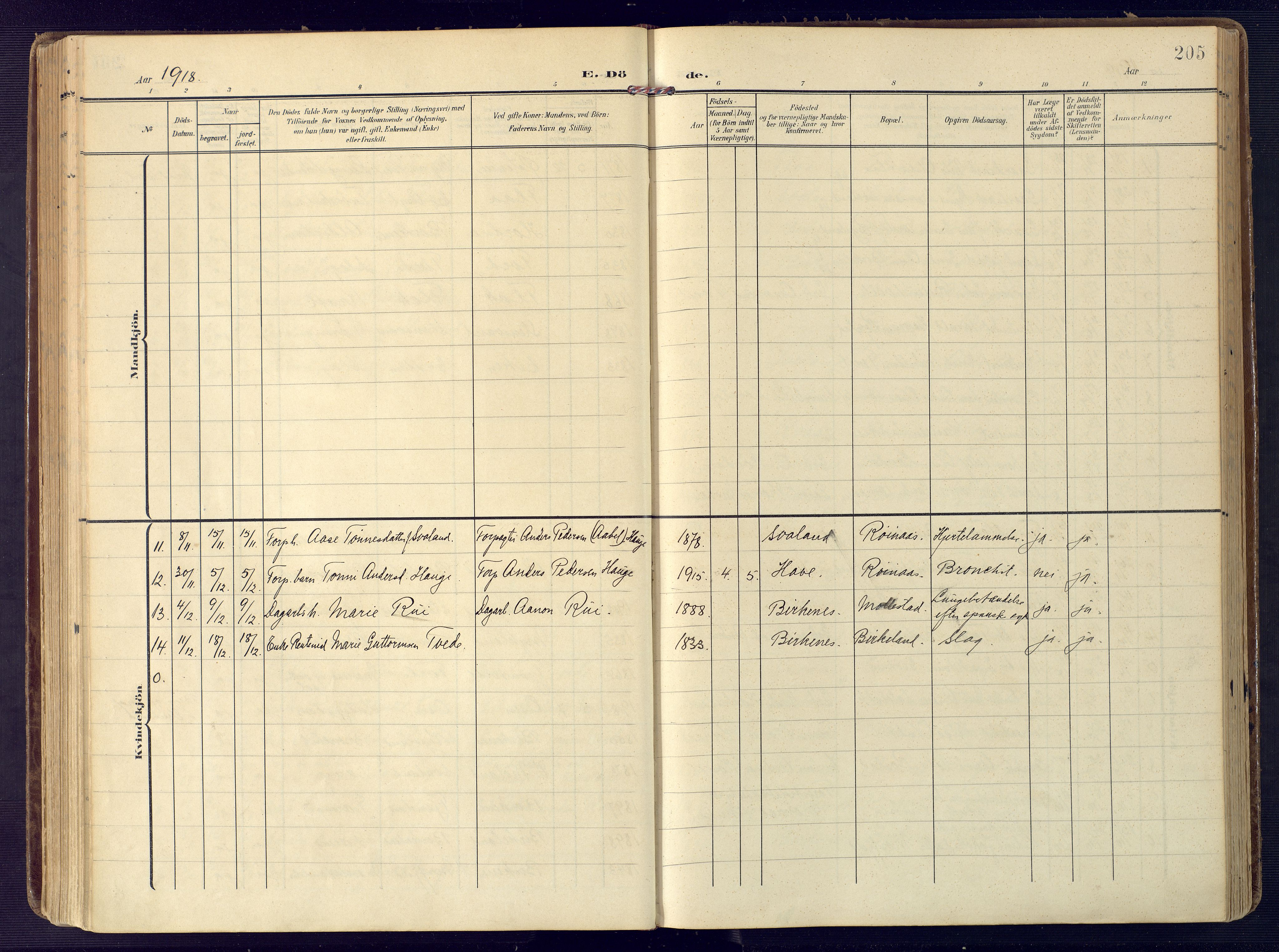 Birkenes sokneprestkontor, AV/SAK-1111-0004/F/Fa/L0006: Parish register (official) no. A 6, 1908-1932, p. 205