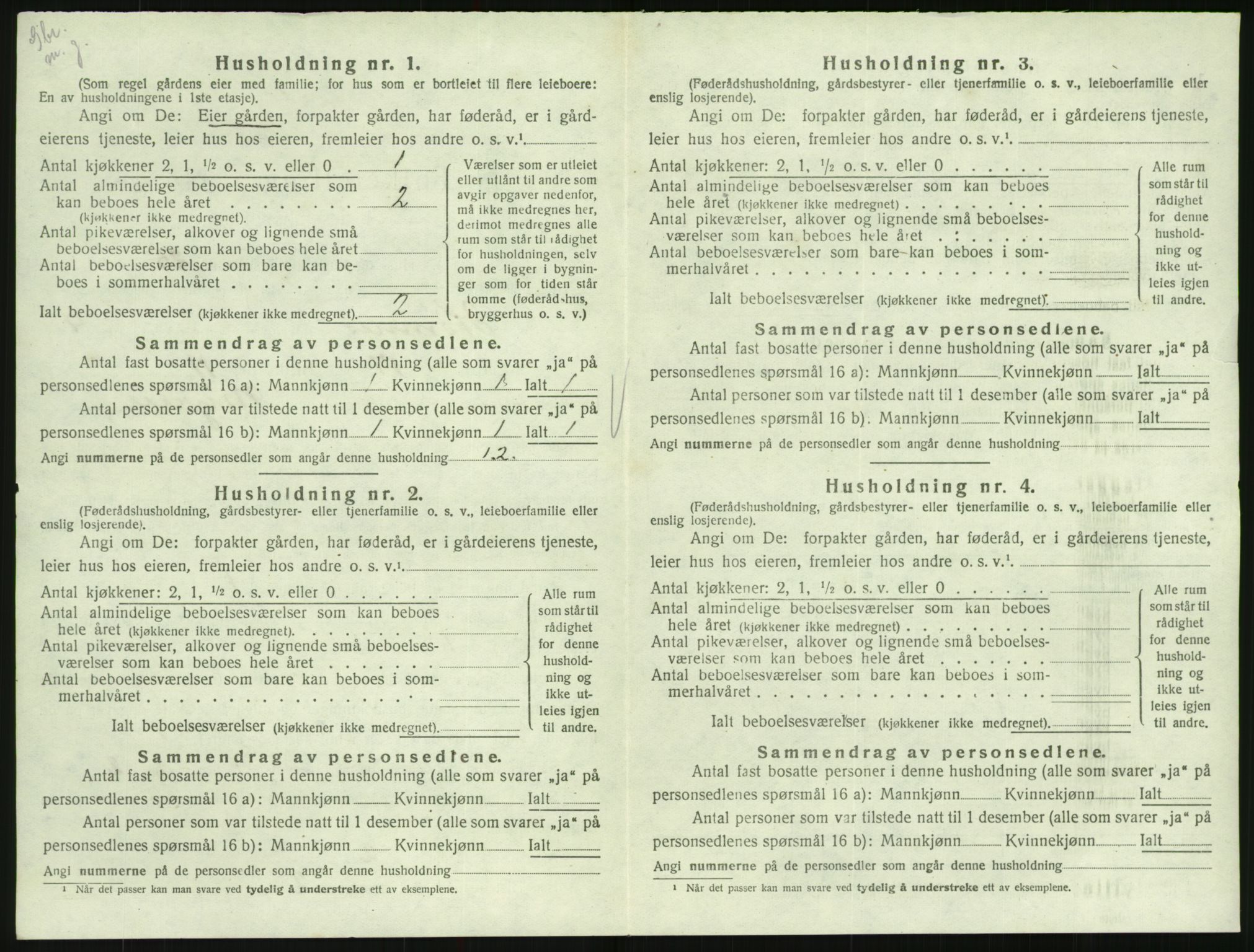 SAK, 1920 census for Hornnes, 1920, p. 400