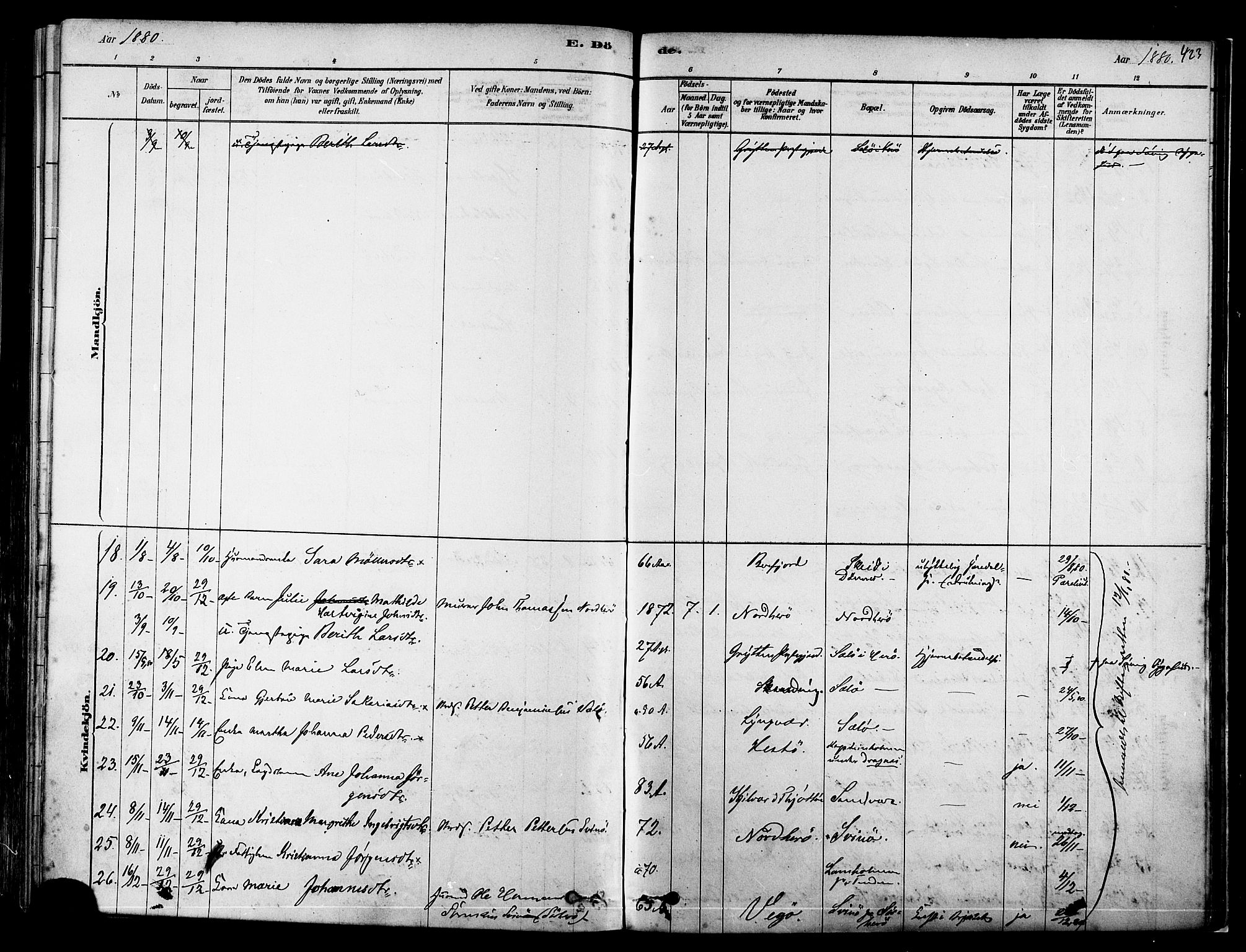 Ministerialprotokoller, klokkerbøker og fødselsregistre - Nordland, AV/SAT-A-1459/834/L0507: Parish register (official) no. 834A05, 1878-1892, p. 423