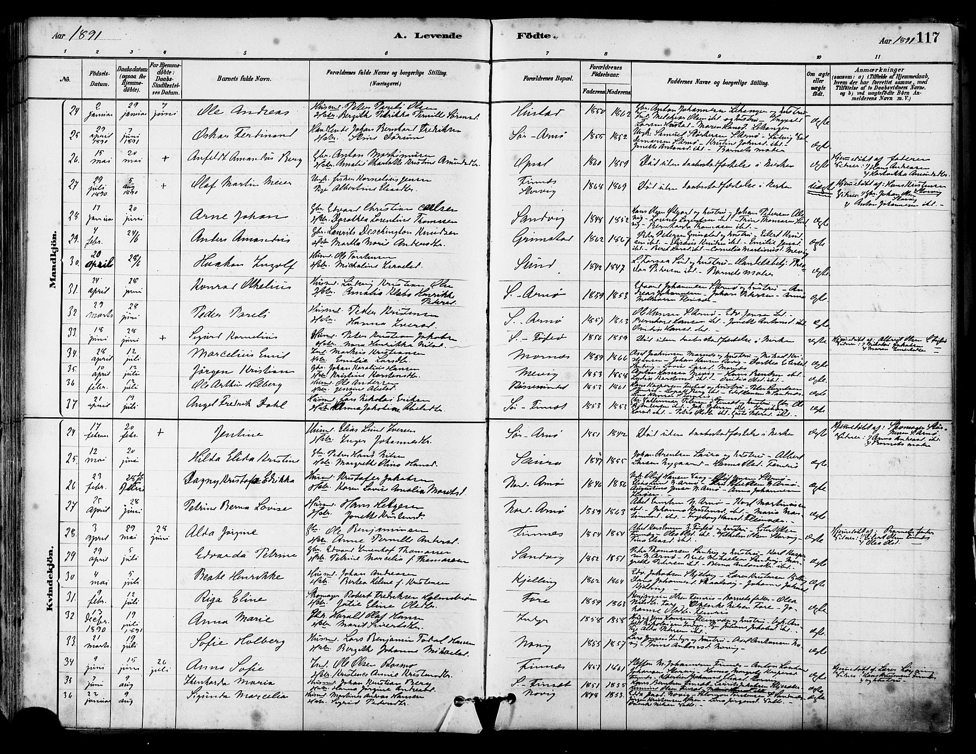 Ministerialprotokoller, klokkerbøker og fødselsregistre - Nordland, SAT/A-1459/805/L0099: Parish register (official) no. 805A06, 1880-1891, p. 117