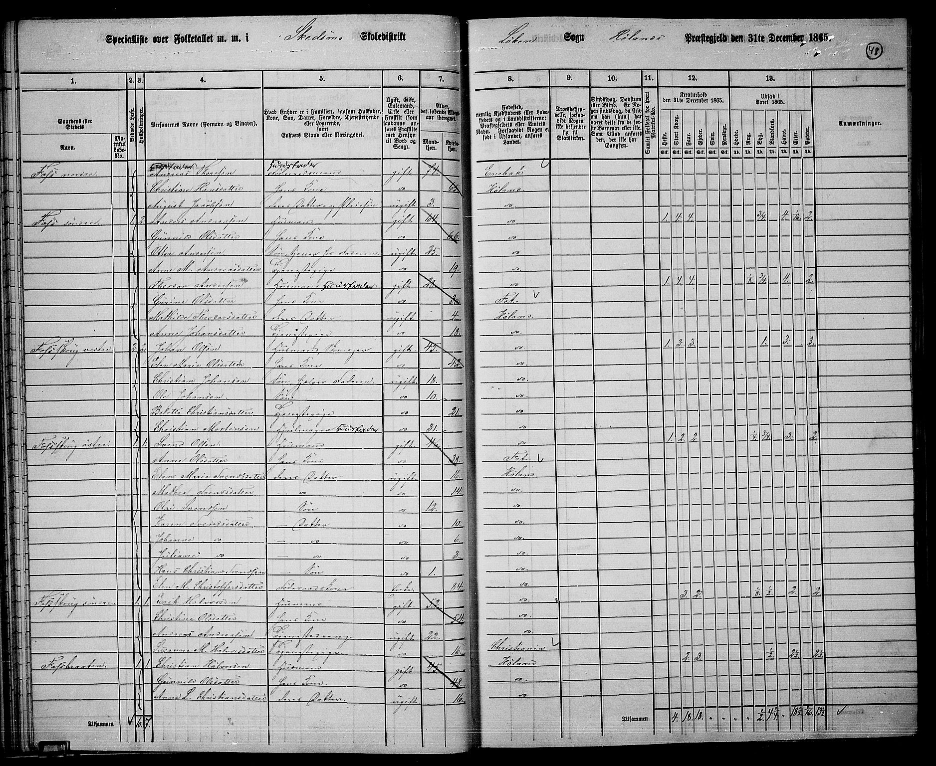 RA, 1865 census for Høland, 1865, p. 46