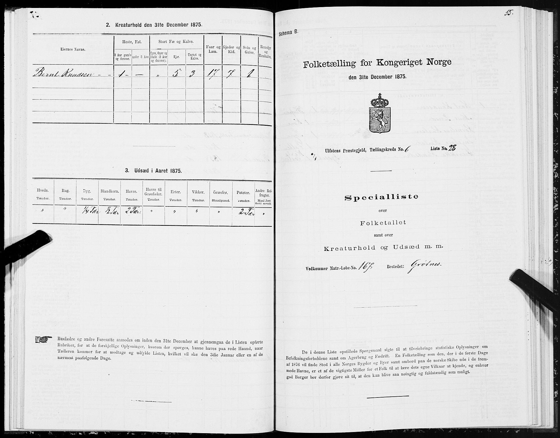 SAT, 1875 census for 1516P Ulstein, 1875, p. 3055