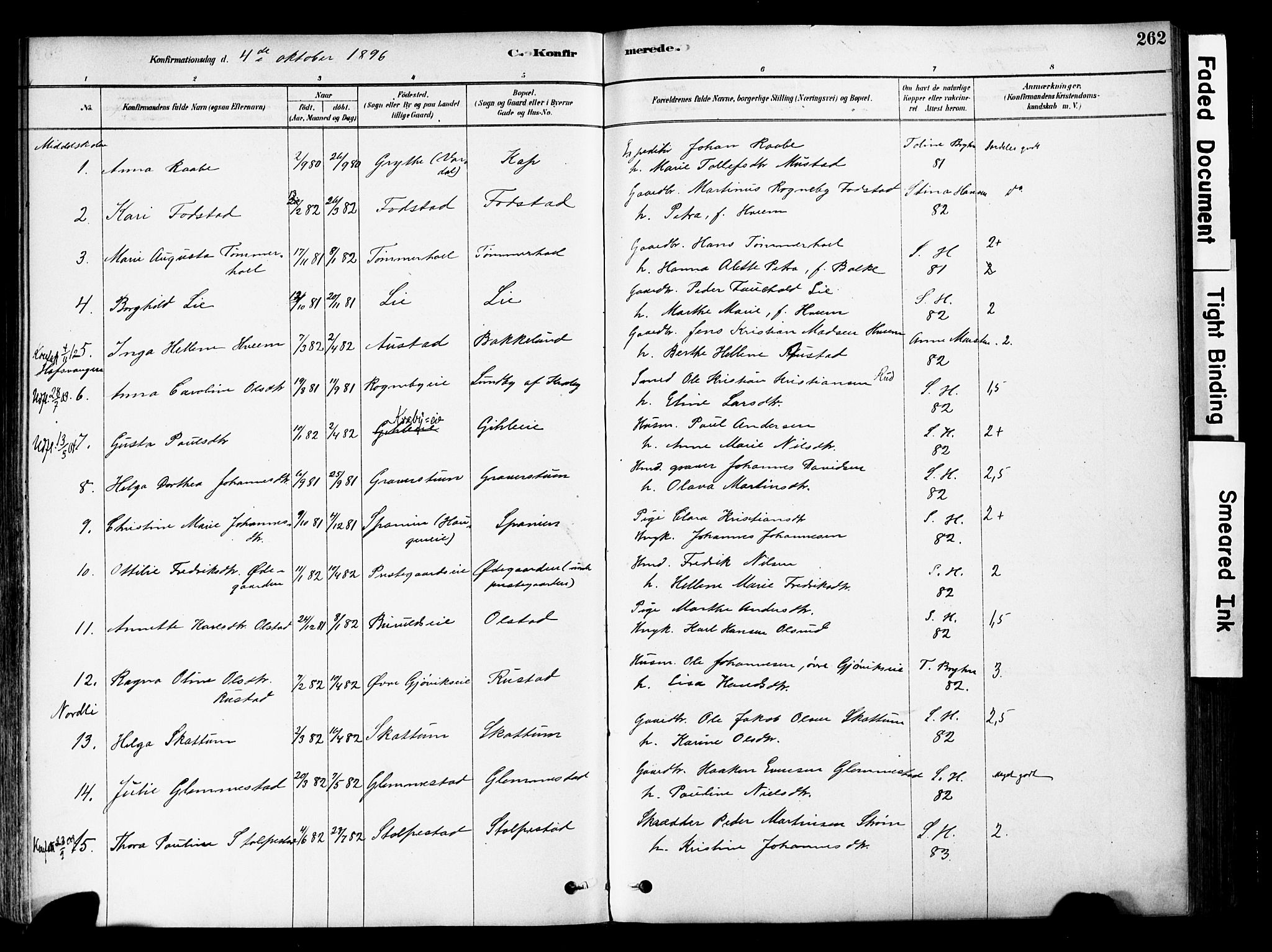 Østre Toten prestekontor, AV/SAH-PREST-104/H/Ha/Haa/L0006: Parish register (official) no. 6 /1, 1878-1896, p. 262