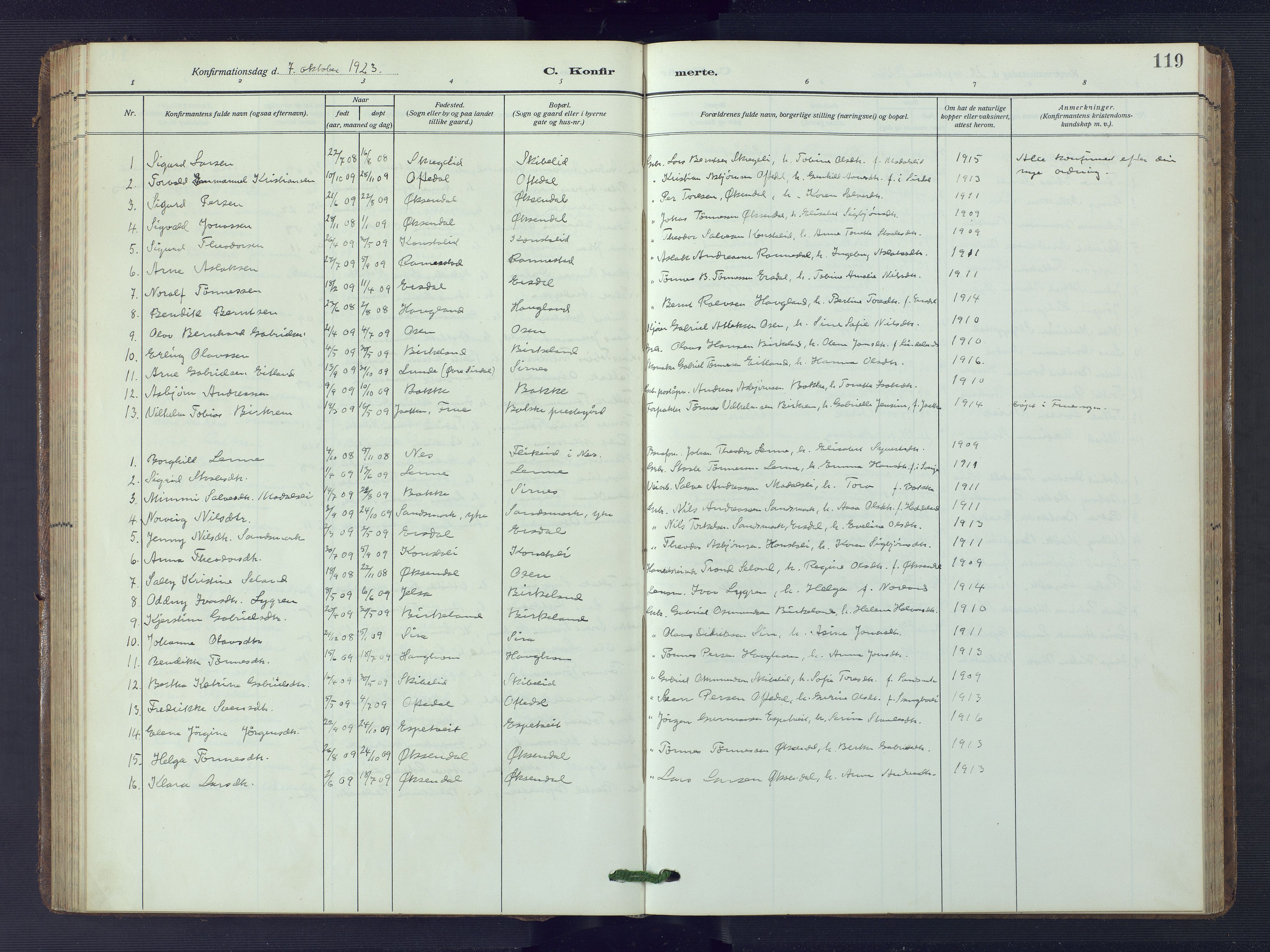 Bakke sokneprestkontor, SAK/1111-0002/F/Fb/Fba/L0004: Parish register (copy) no. B 4, 1911-1946, p. 119
