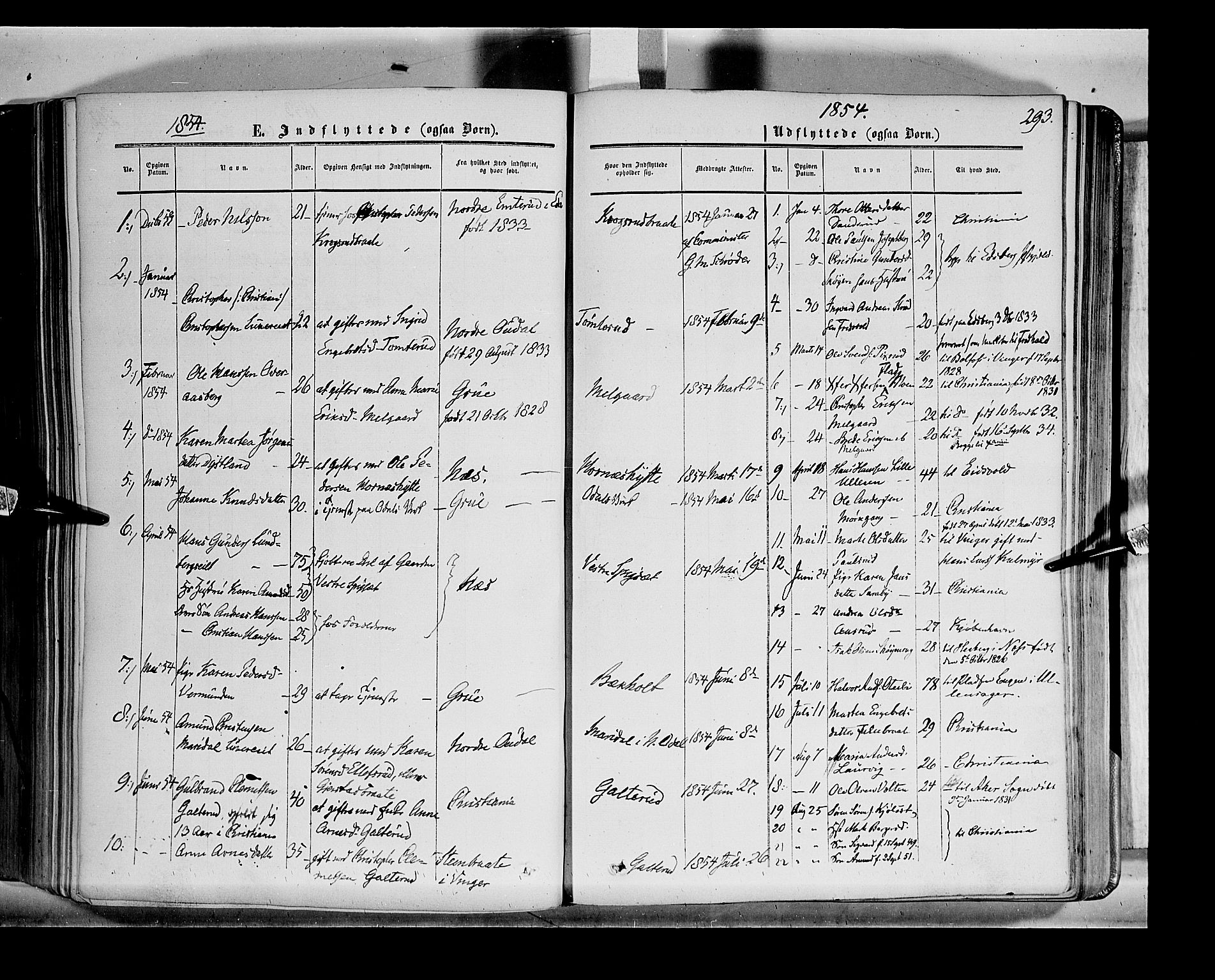 Sør-Odal prestekontor, SAH/PREST-030/H/Ha/Haa/L0001: Parish register (official) no. 1, 1849-1859, p. 293