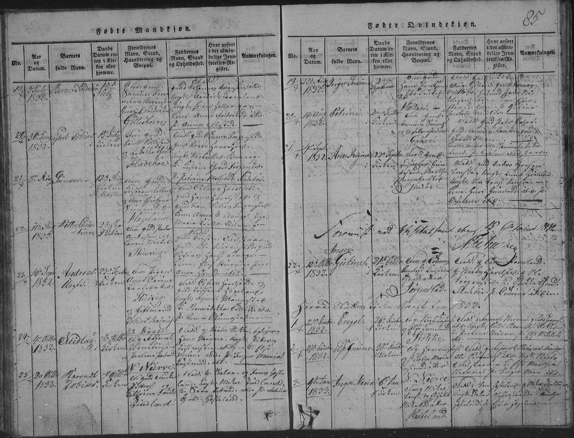 Sør-Audnedal sokneprestkontor, AV/SAK-1111-0039/F/Fb/Fba/L0001: Parish register (copy) no. B 1, 1815-1850, p. 85