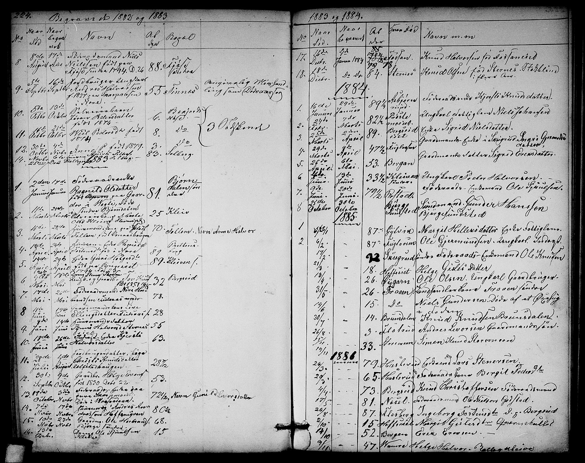 Rollag kirkebøker, SAKO/A-240/G/Ga/L0003: Parish register (copy) no. I 3, 1856-1887, p. 224