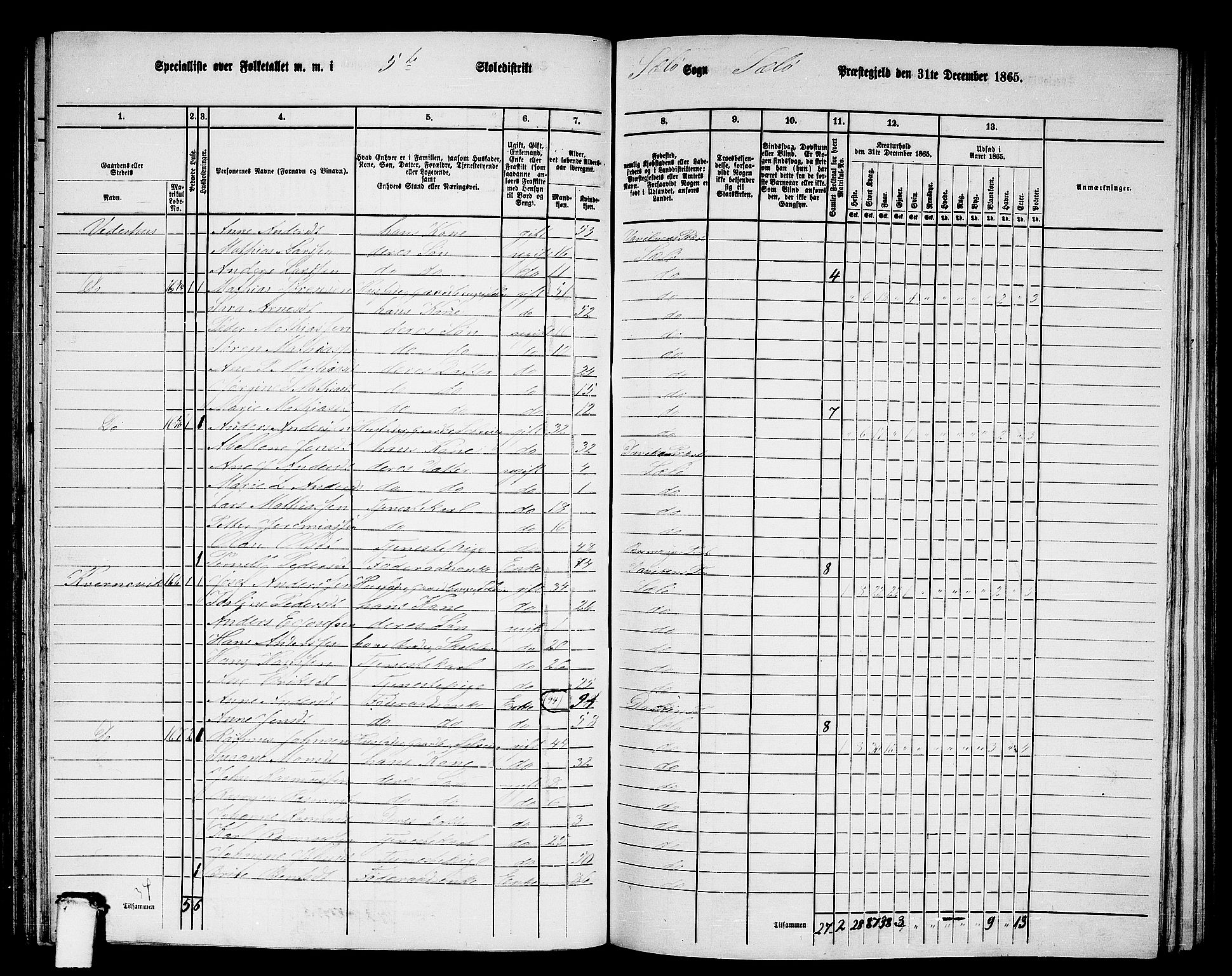 RA, 1865 census for Selje, 1865, p. 91