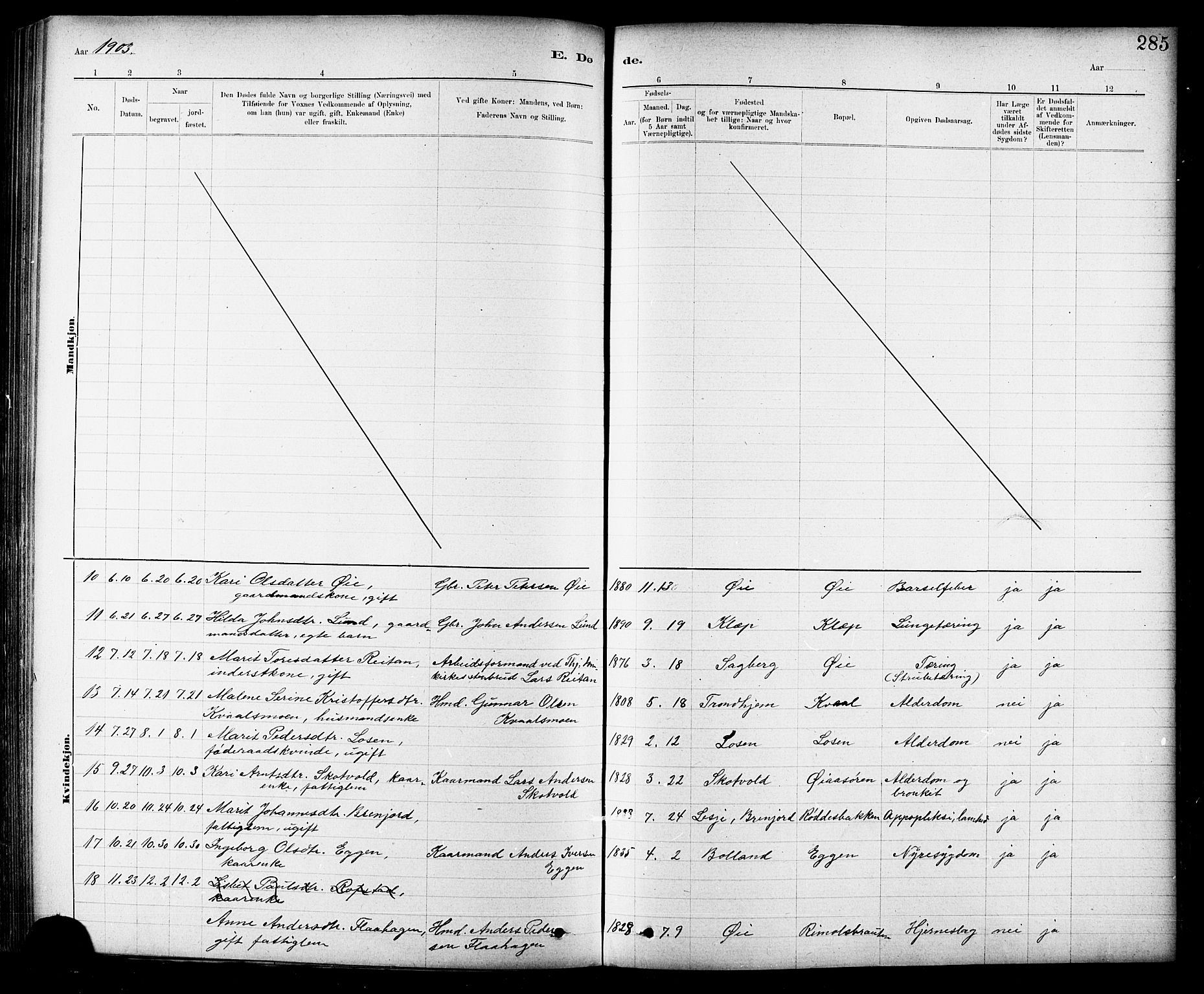 Ministerialprotokoller, klokkerbøker og fødselsregistre - Sør-Trøndelag, SAT/A-1456/691/L1094: Parish register (copy) no. 691C05, 1879-1911, p. 285