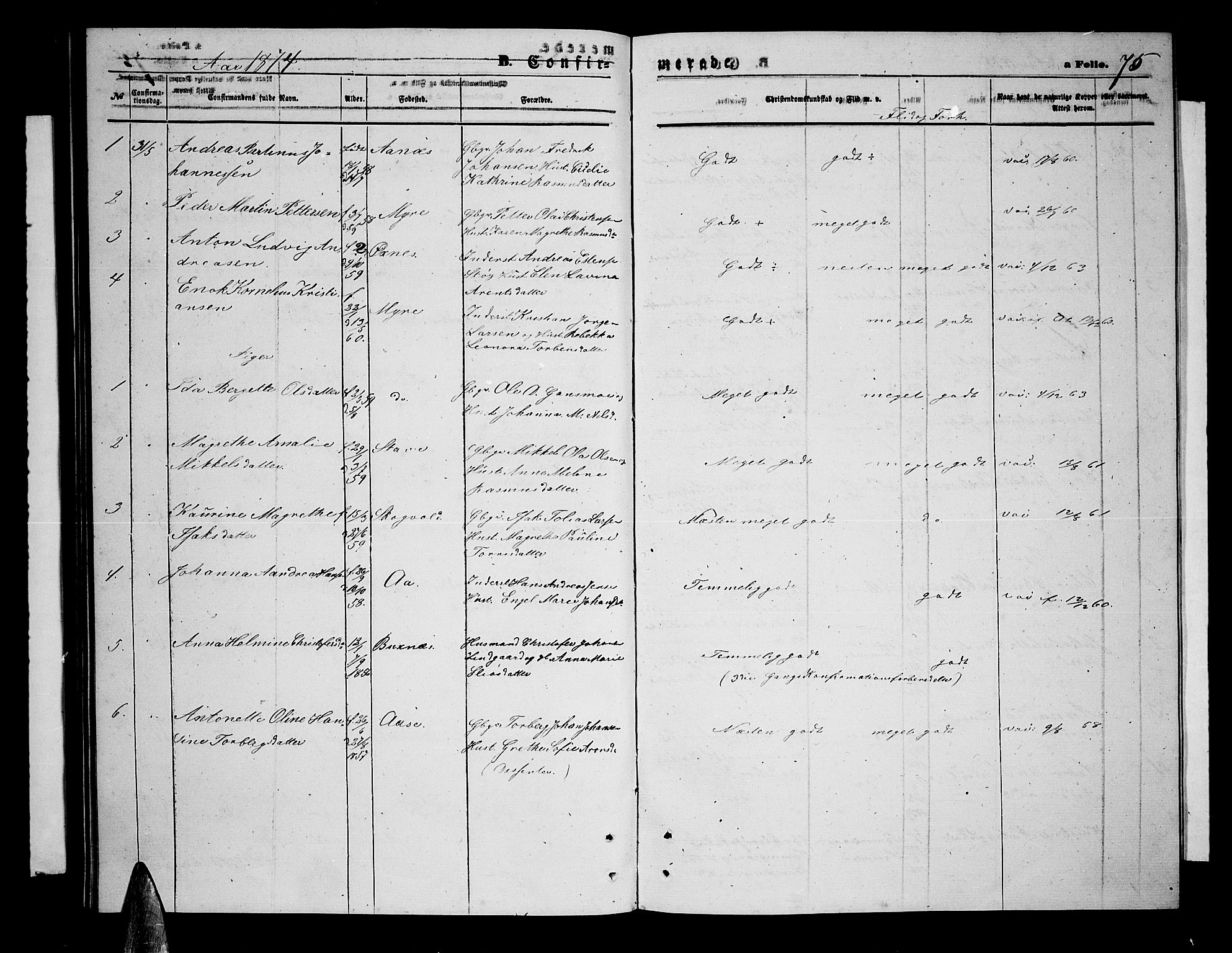 Ministerialprotokoller, klokkerbøker og fødselsregistre - Nordland, AV/SAT-A-1459/897/L1412: Parish register (copy) no. 897C02, 1867-1886, p. 75