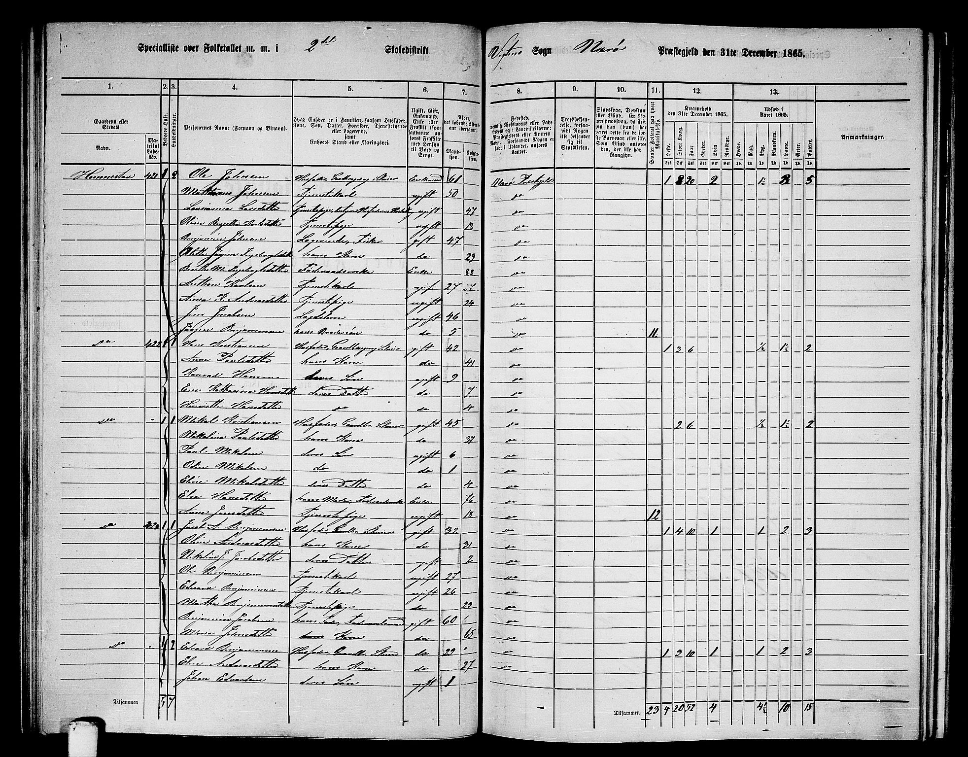 RA, 1865 census for Nærøy, 1865, p. 103