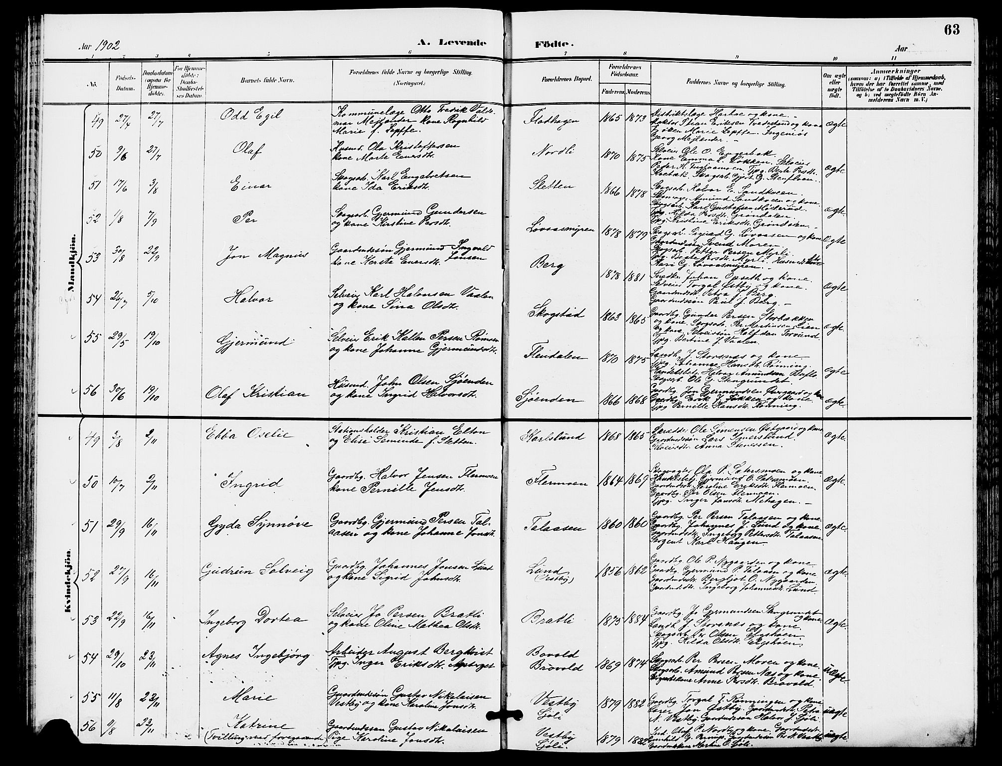 Trysil prestekontor, SAH/PREST-046/H/Ha/Hab/L0006: Parish register (copy) no. 6, 1896-1912, p. 63