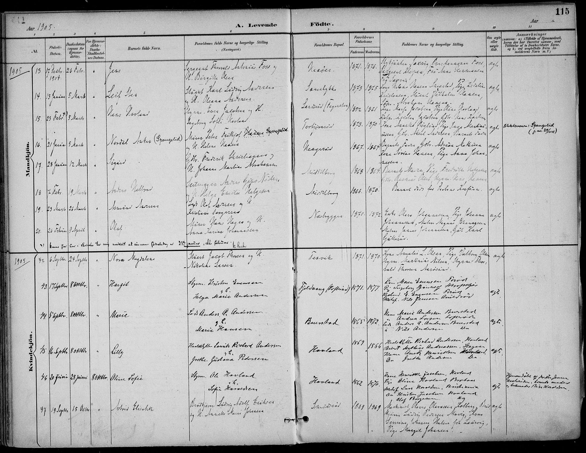 Nøtterøy kirkebøker, AV/SAKO-A-354/F/Fa/L0009: Parish register (official) no. I 9, 1894-1907, p. 115