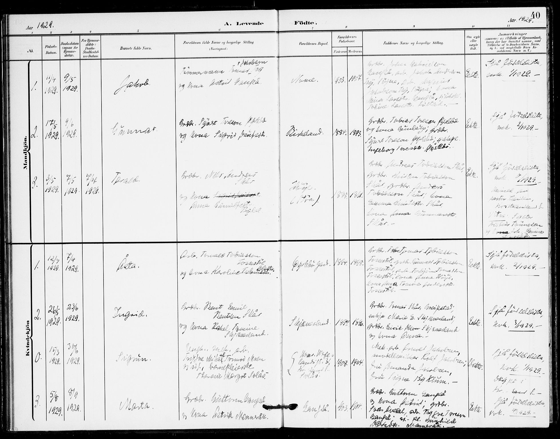 Holum sokneprestkontor, AV/SAK-1111-0022/F/Fa/Fac/L0005: Parish register (official) no. A 5, 1908-1930, p. 40