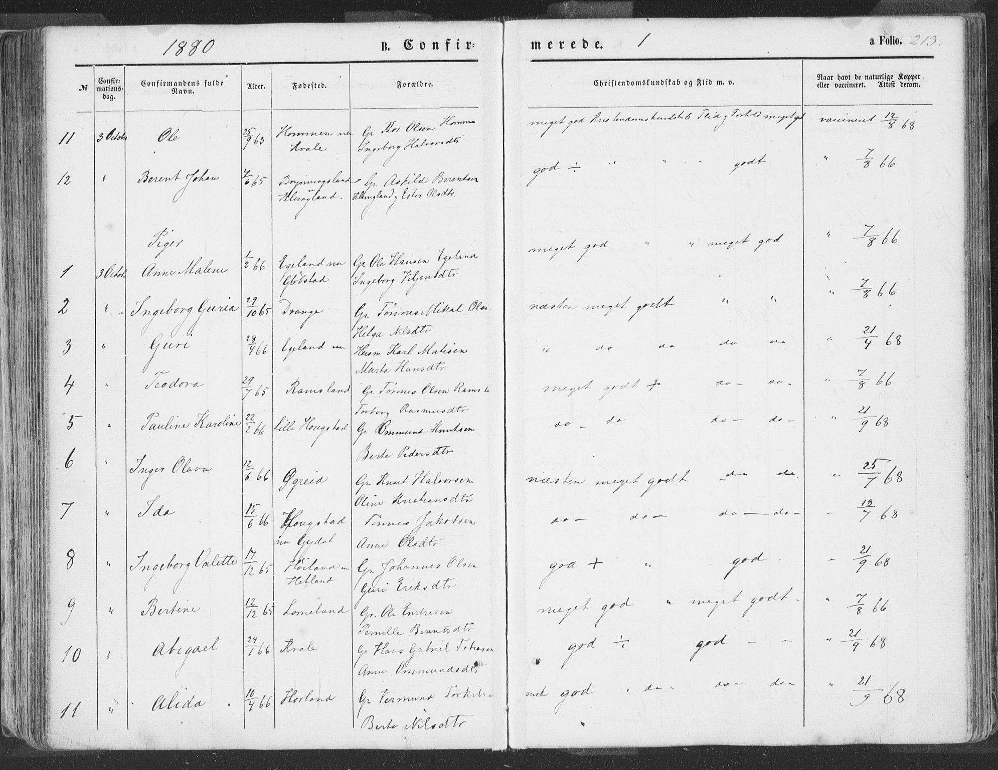 Helleland sokneprestkontor, AV/SAST-A-101810: Parish register (official) no. A 7.1, 1863-1886, p. 213