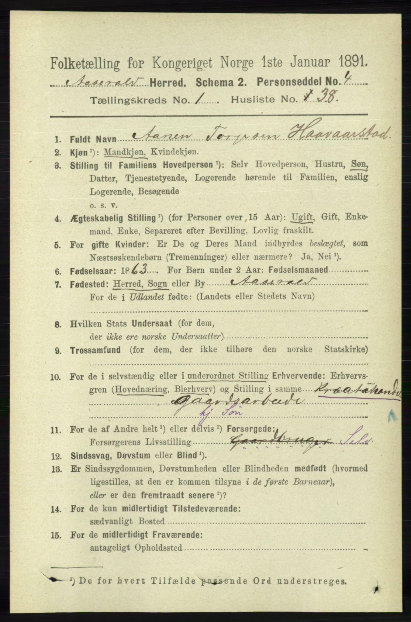 RA, 1891 census for 1026 Åseral, 1891, p. 314