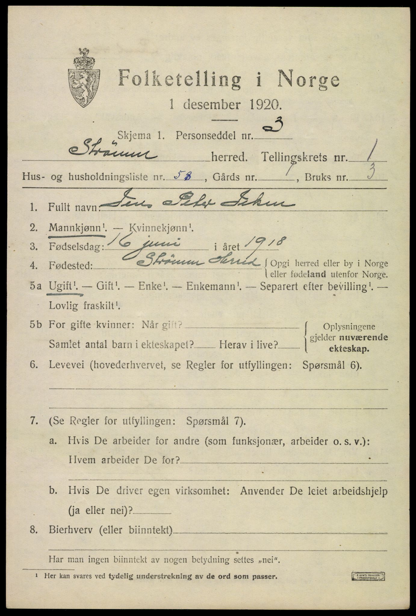 SAKO, 1920 census for Strømm, 1920, p. 1569