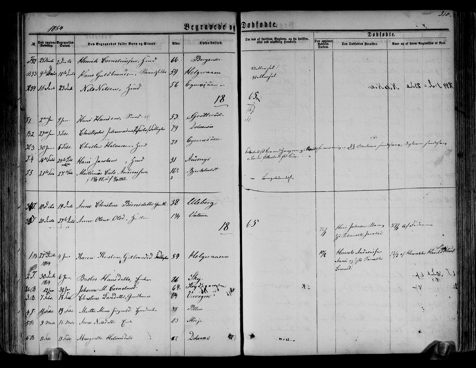Brunlanes kirkebøker, SAKO/A-342/F/Fa/L0005: Parish register (official) no. I 5, 1862-1877, p. 310