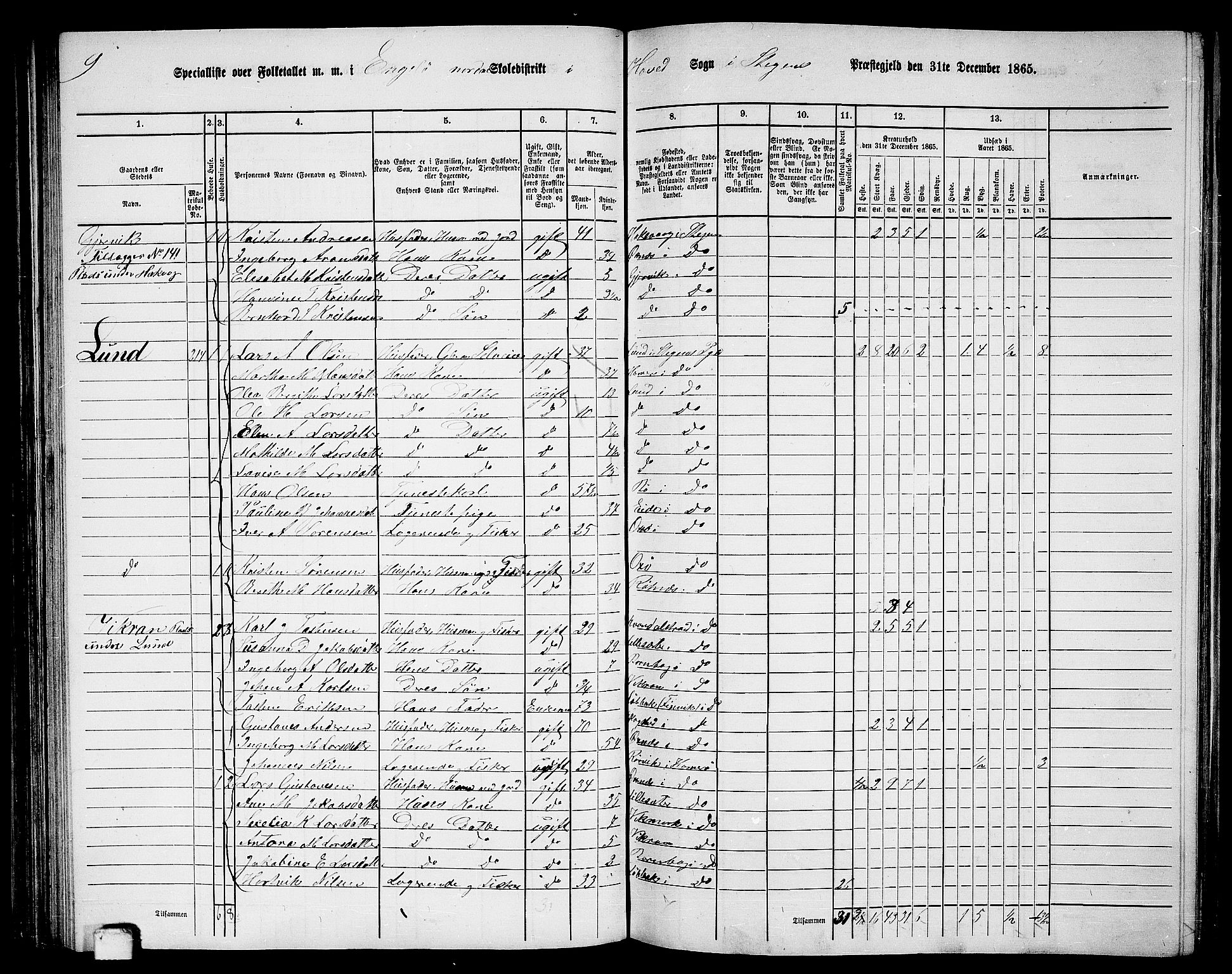 RA, 1865 census for Steigen, 1865, p. 80