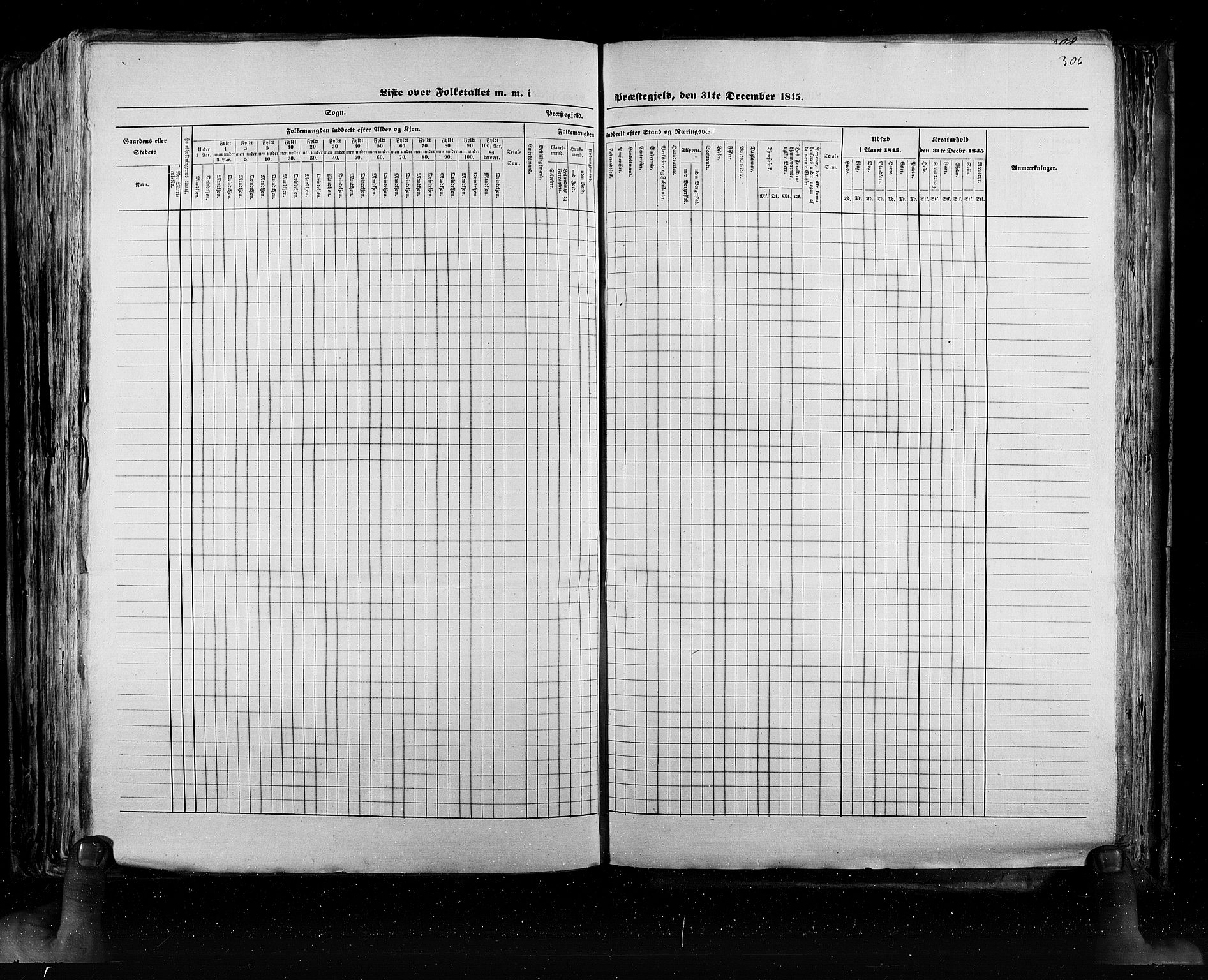 RA, Census 1845, vol. 5: Bratsberg amt og Nedenes og Råbyggelaget amt, 1845, p. 306