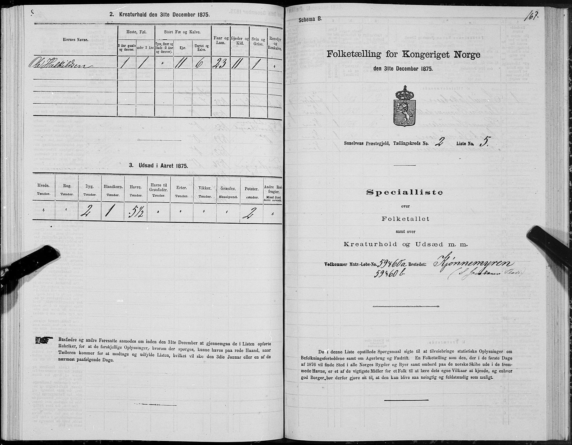 SAT, 1875 census for 1523P Sunnylven, 1875, p. 1167