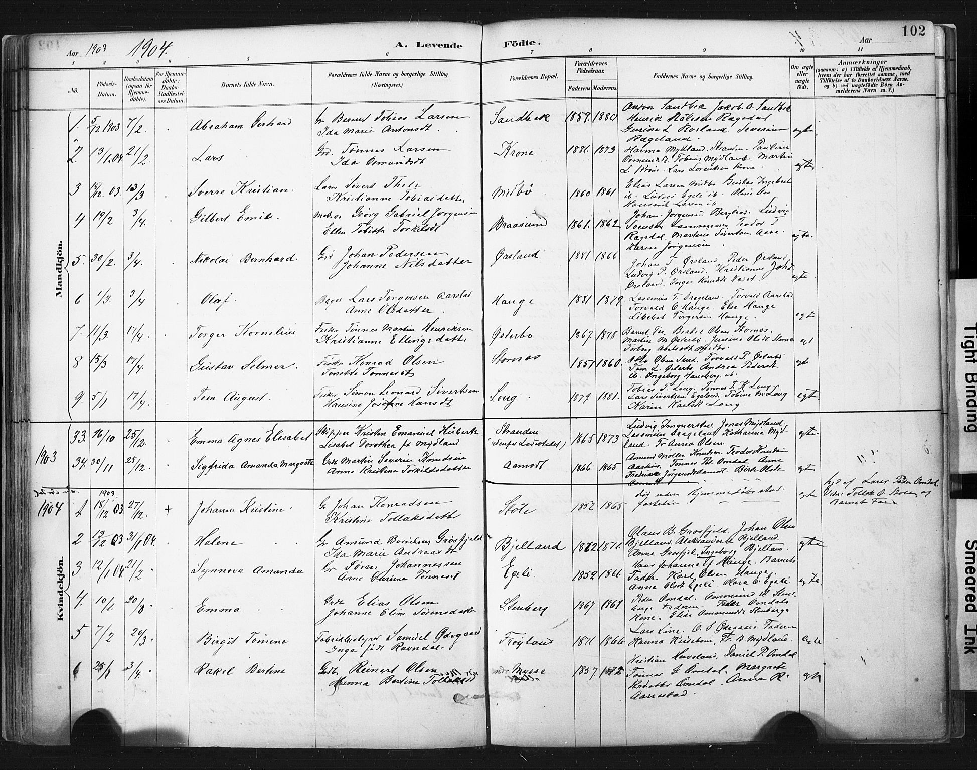 Sokndal sokneprestkontor, SAST/A-101808: Parish register (official) no. A 11.1, 1887-1905, p. 102