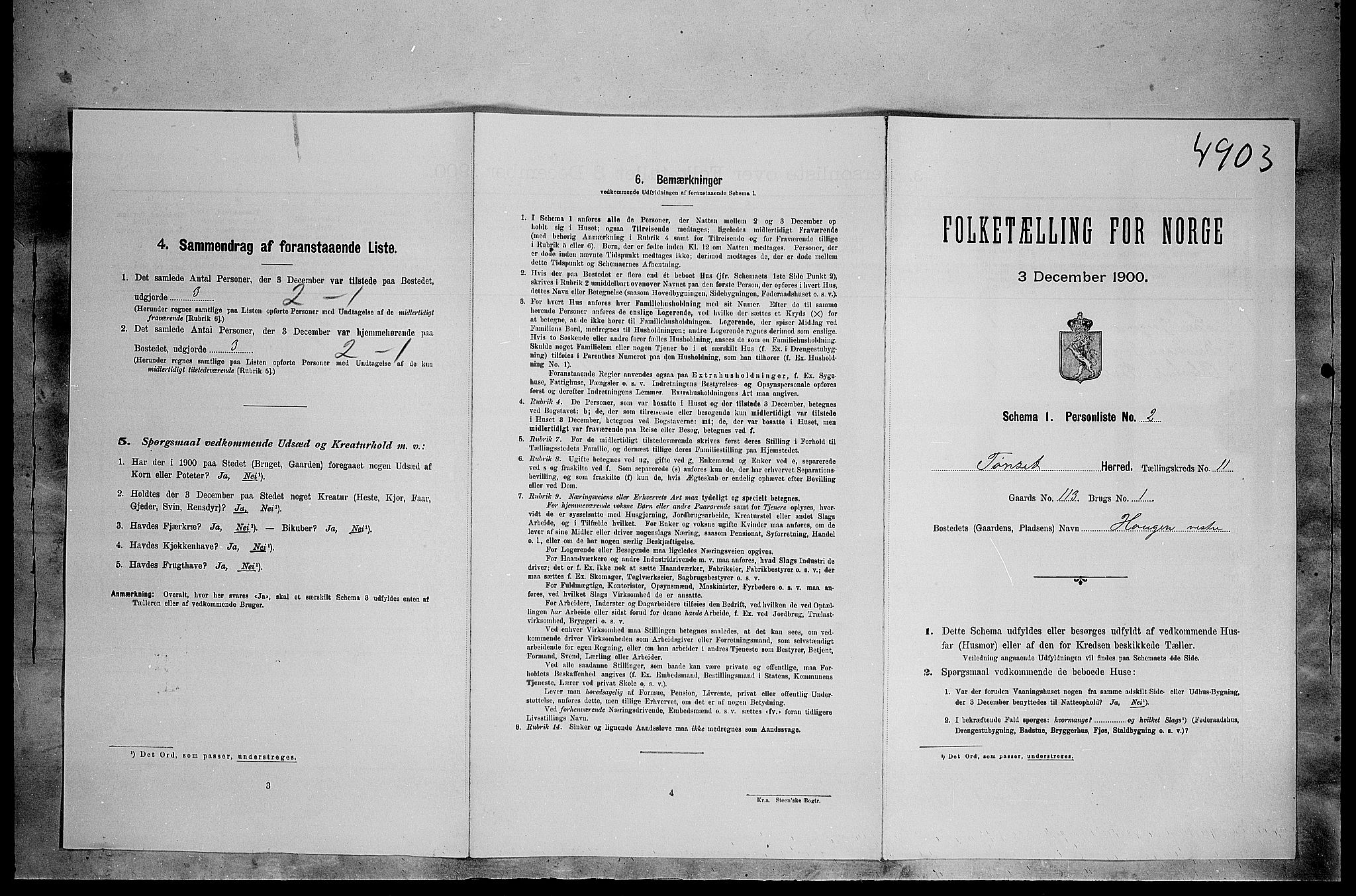 SAH, 1900 census for Tynset, 1900, p. 1004