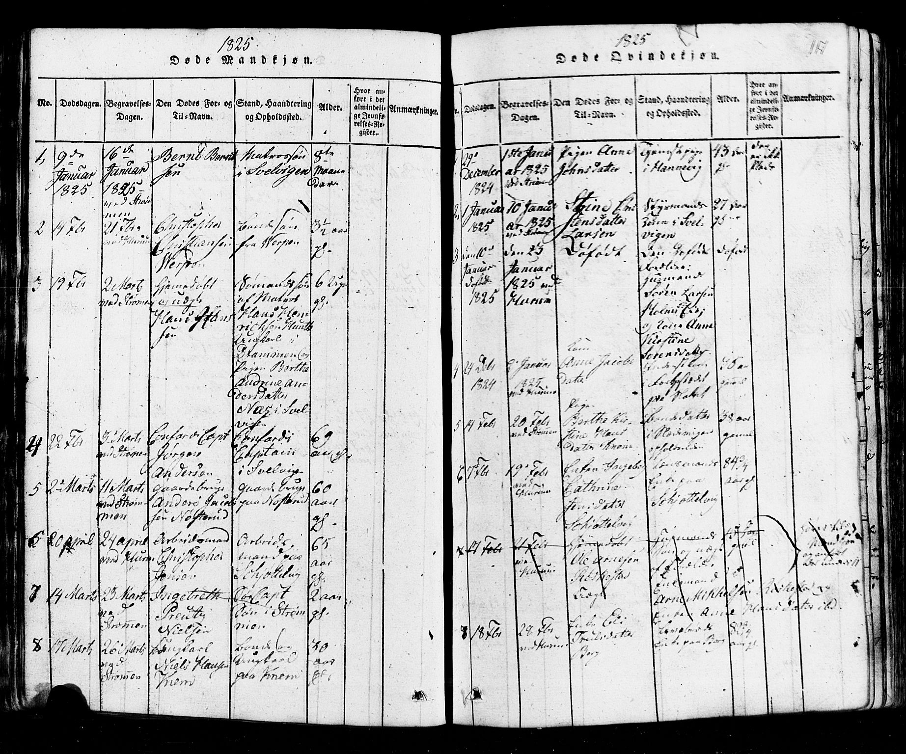 Hurum kirkebøker, SAKO/A-229/G/Ga/L0001: Parish register (copy) no. I 1, 1816-1826, p. 117