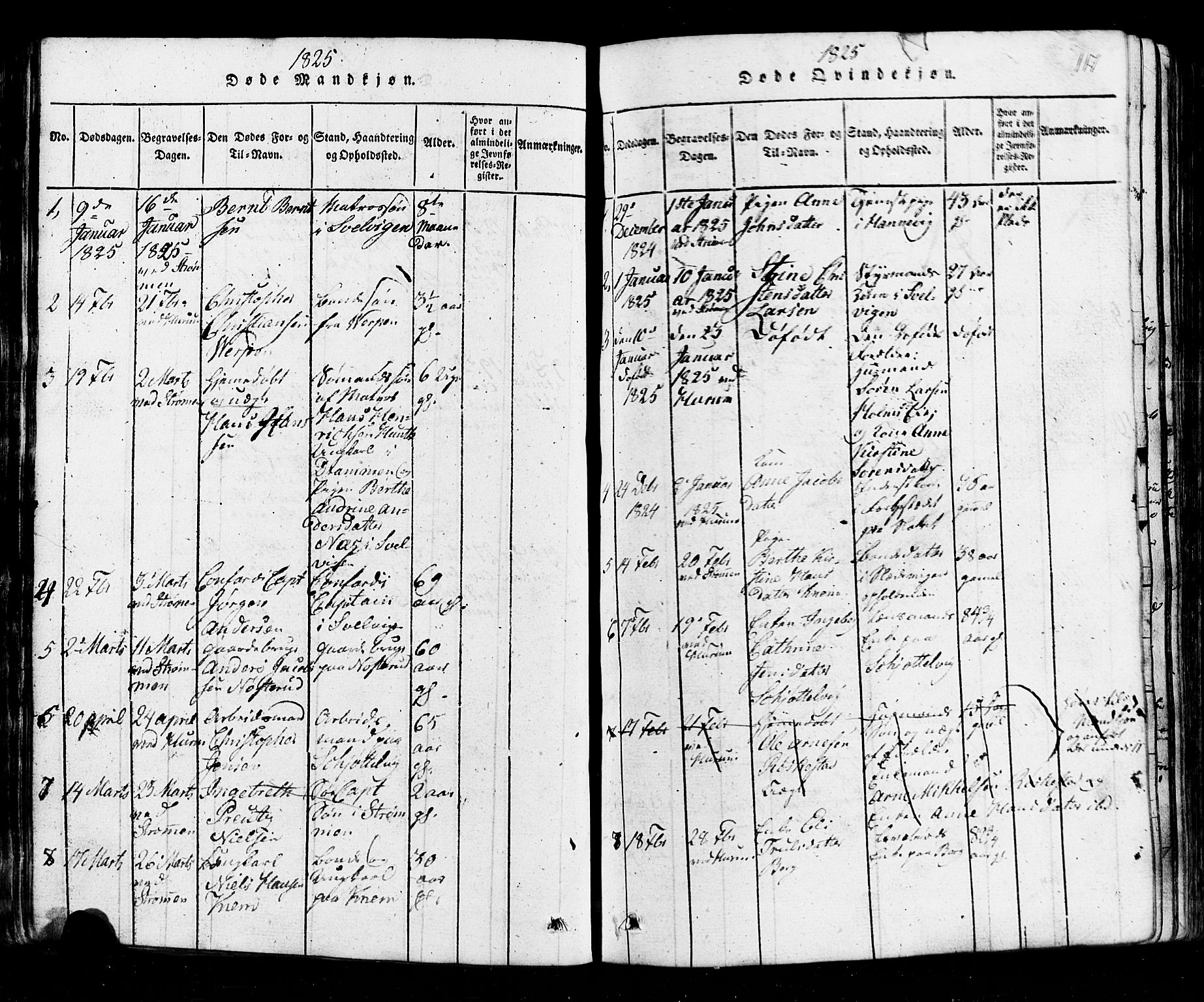 Hurum kirkebøker, AV/SAKO-A-229/G/Ga/L0001: Parish register (copy) no. I 1, 1816-1826, p. 117