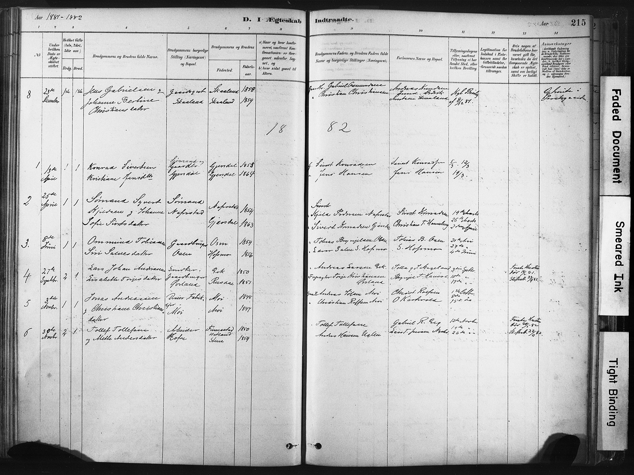 Lund sokneprestkontor, AV/SAST-A-101809/S06/L0011: Parish register (official) no. A 10, 1877-1904, p. 215