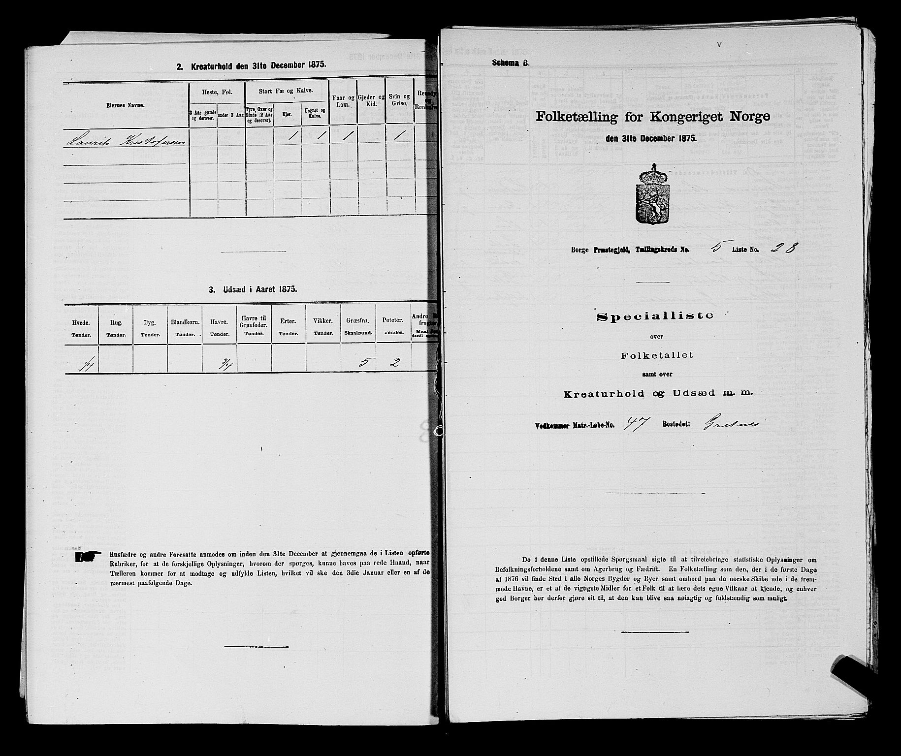 RA, 1875 census for 0113P Borge, 1875, p. 703