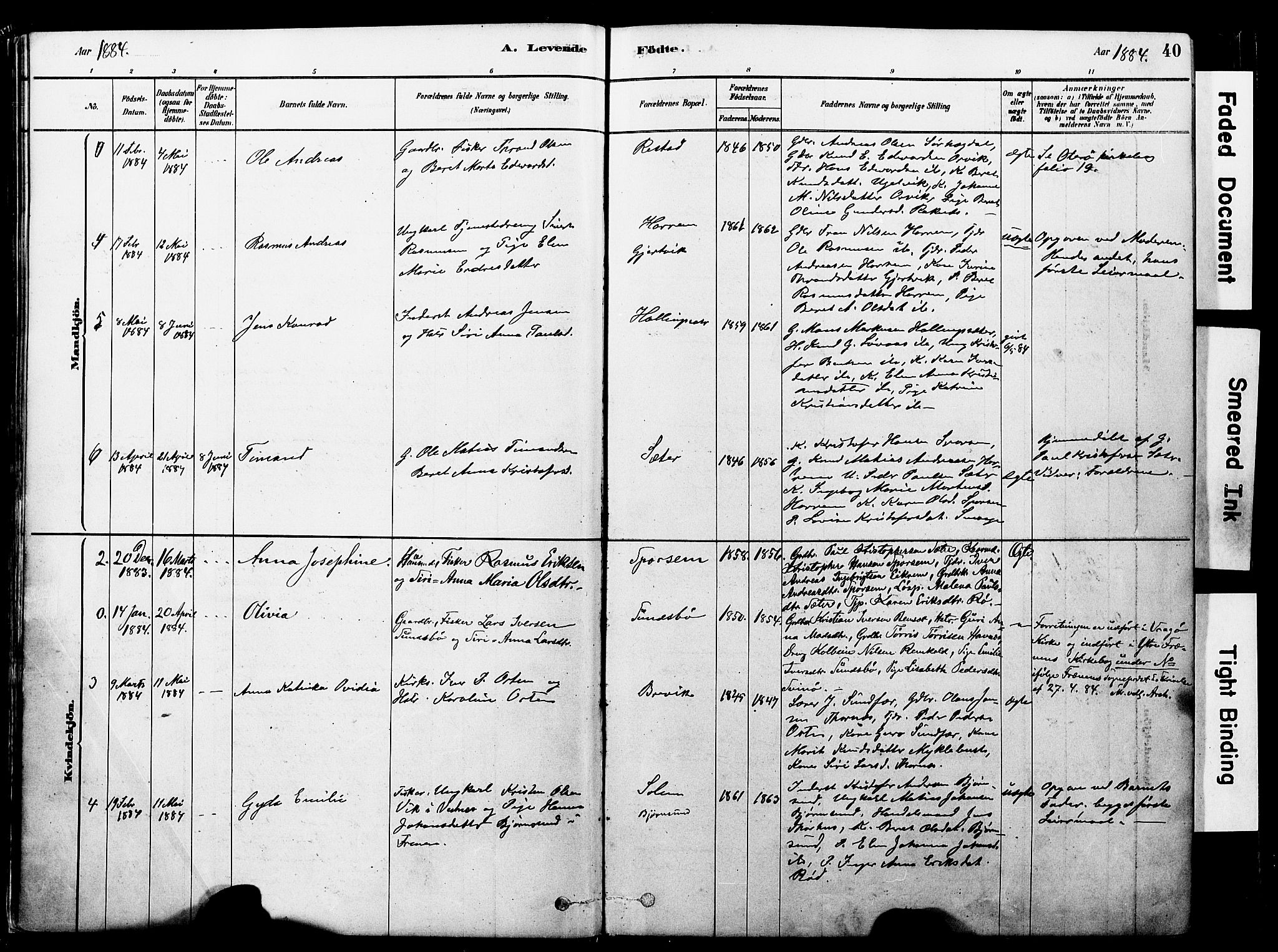 Ministerialprotokoller, klokkerbøker og fødselsregistre - Møre og Romsdal, AV/SAT-A-1454/560/L0721: Parish register (official) no. 560A05, 1878-1917, p. 40