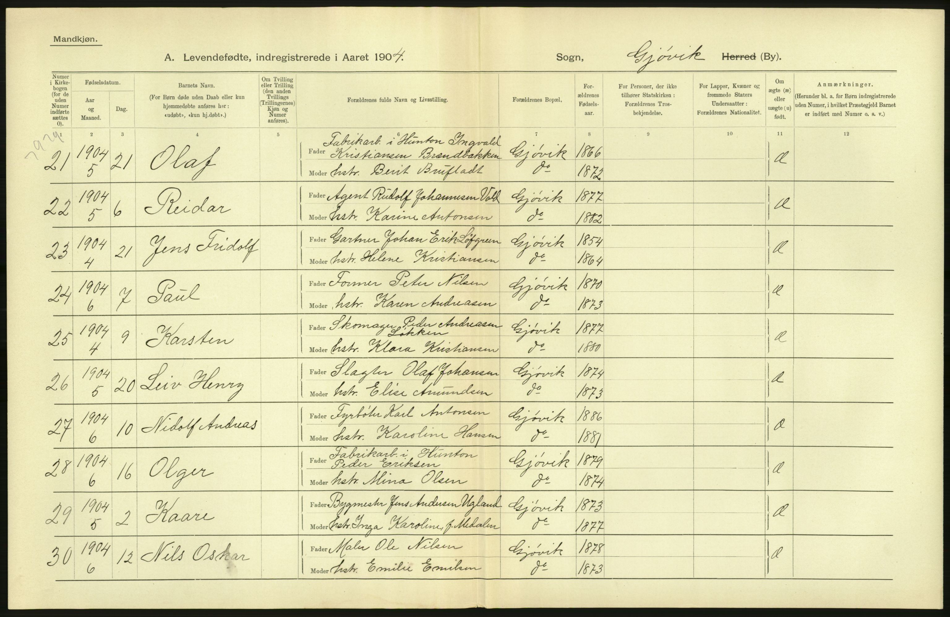 Statistisk sentralbyrå, Sosiodemografiske emner, Befolkning, AV/RA-S-2228/D/Df/Dfa/Dfab/L0006: Kristians amt: Fødte, gifte, døde, 1904, p. 854