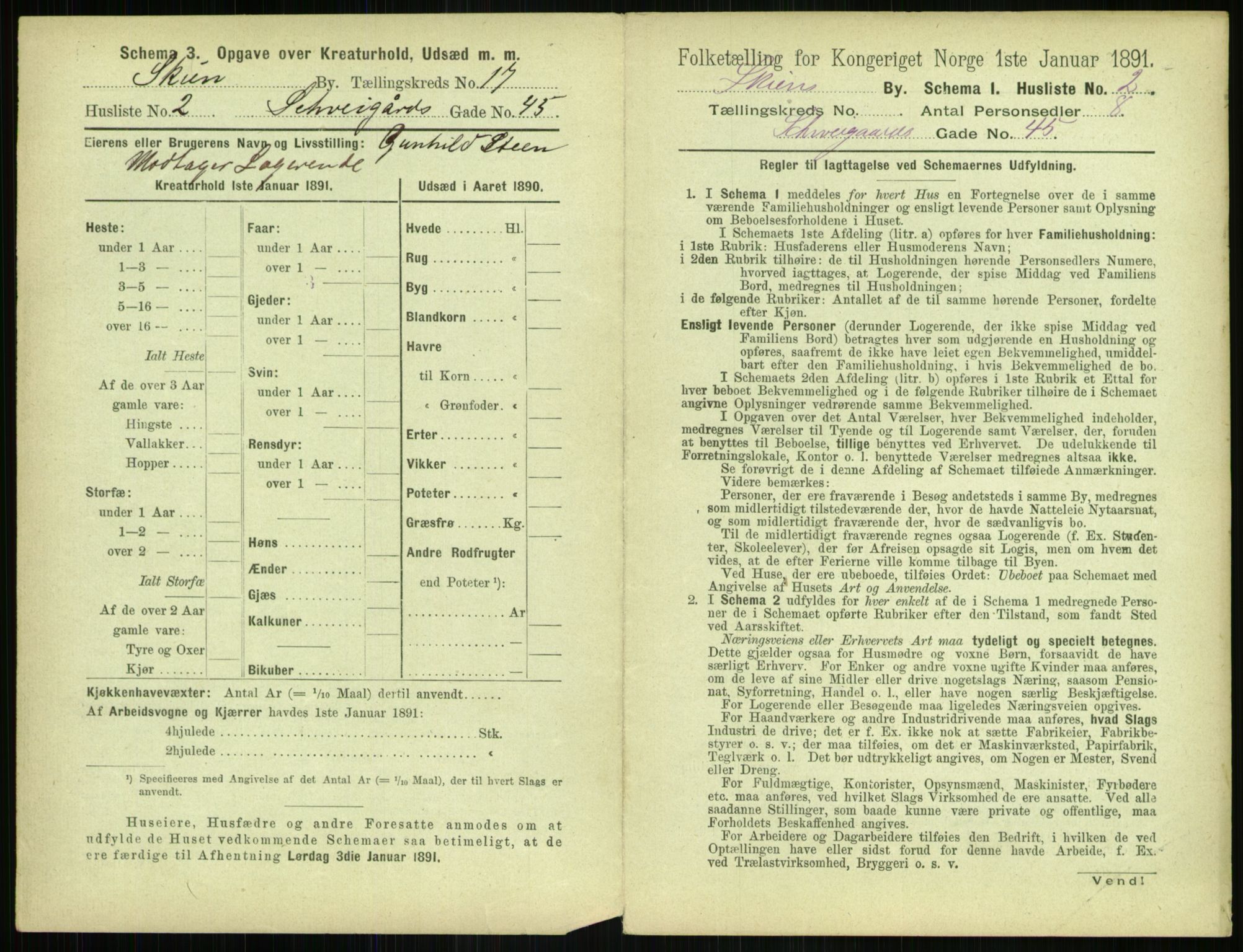 RA, 1891 census for 0806 Skien, 1891, p. 672